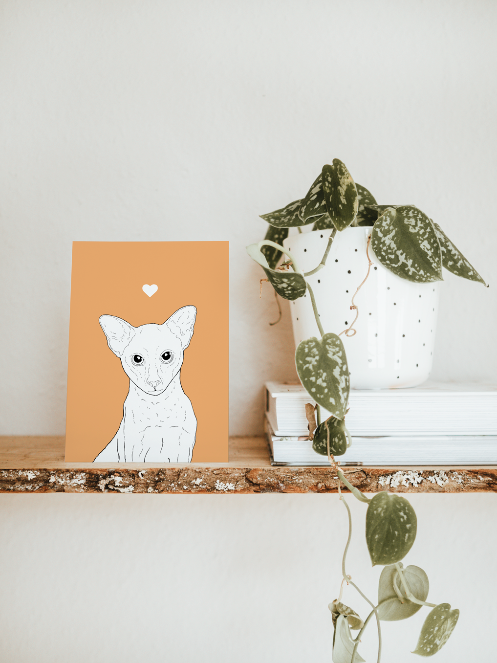 An A6 greetings card & white plant pot on a shelf. The card has a soft orange coloured background, with a black & white digital illustration of the head & shoulders of an Oriental cat.