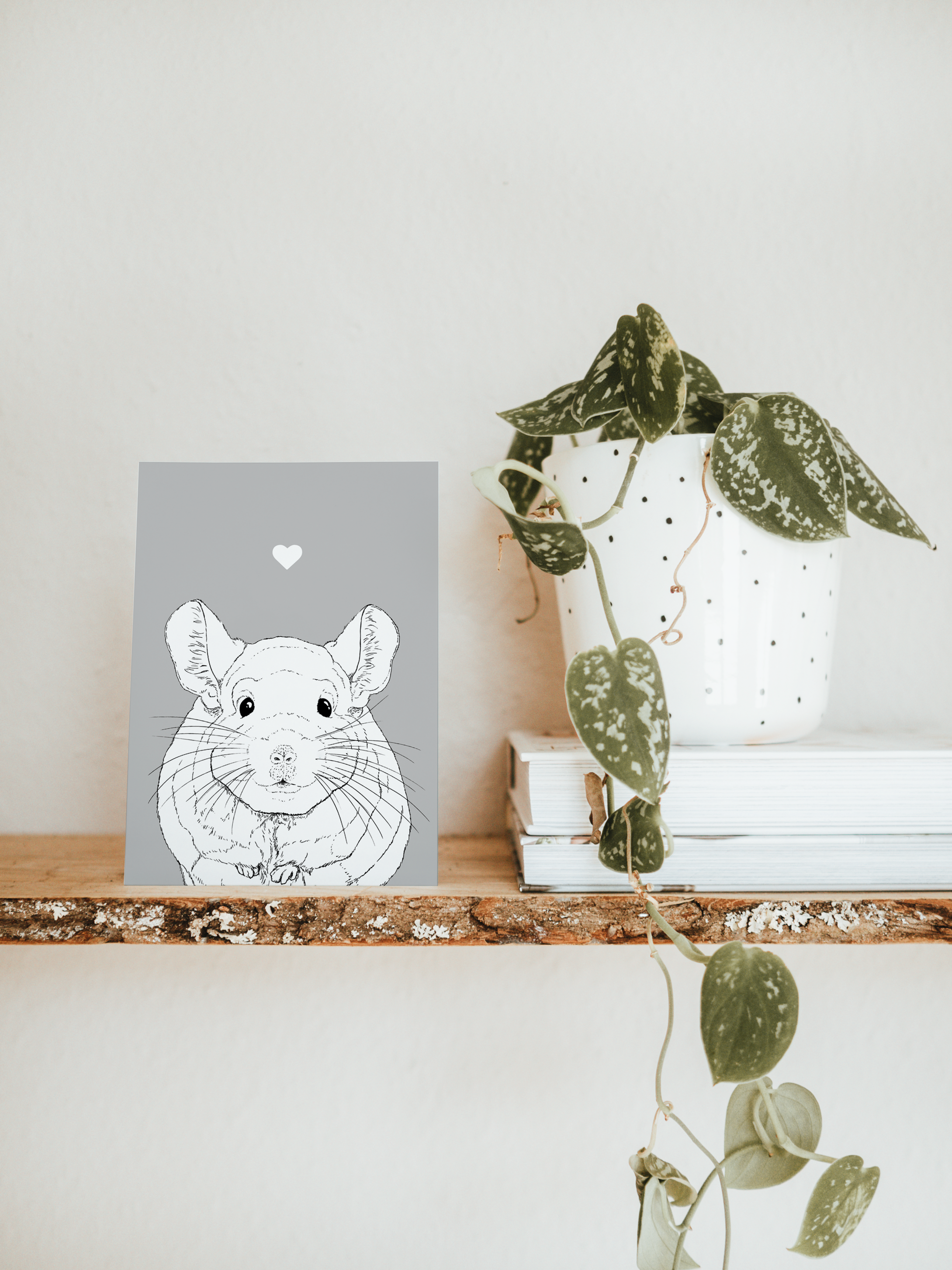 An A6 greetings card & white plant pot on a shelf. The card has a grey coloured background, with a black & white digital illustration of the head & shoulders of a Chinchilla.