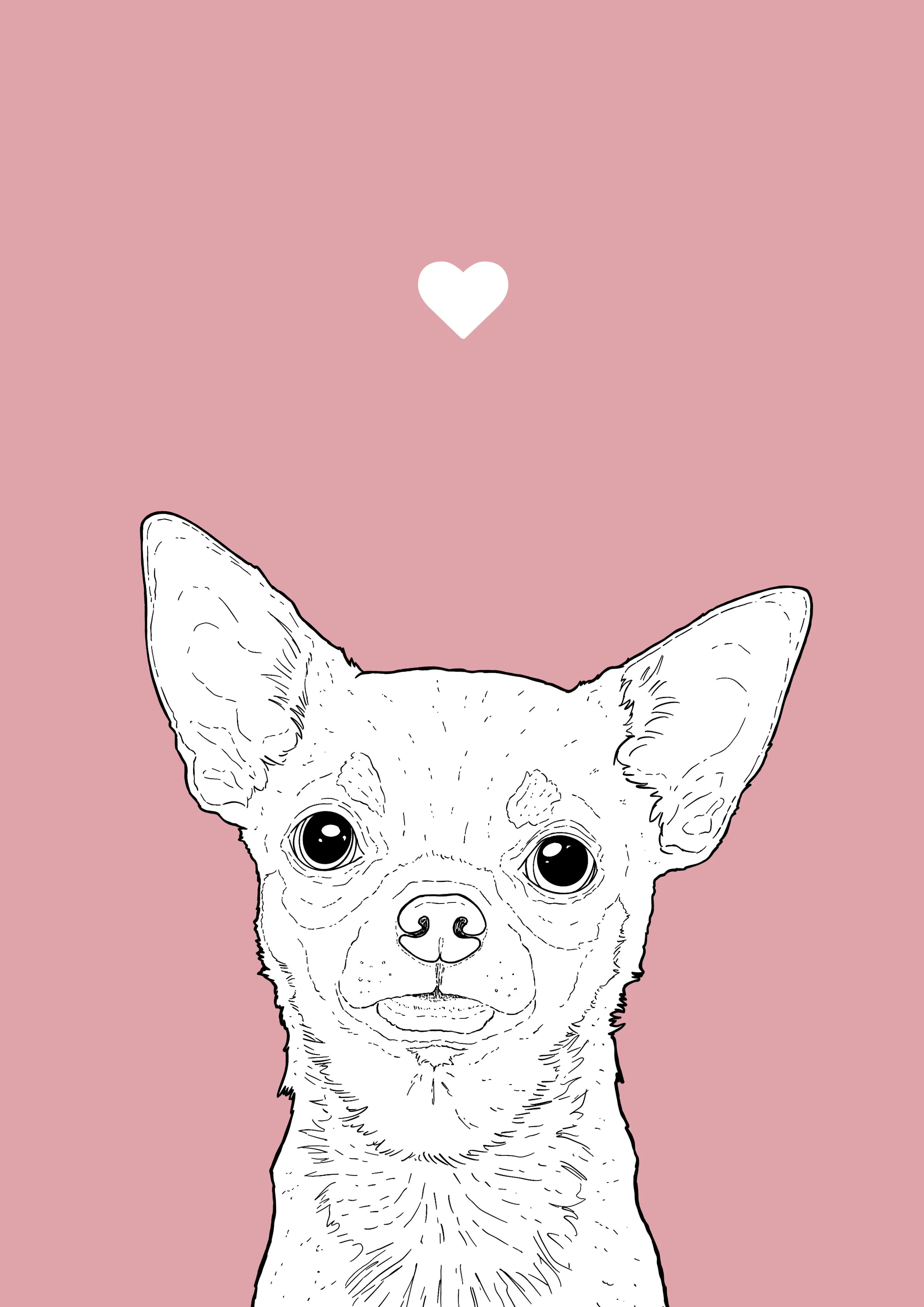 An A4 print with a pale pink background & black & white digital illustration of the head & shoulders of a Chihuahua dog. A small white love heart sits not far above their head.