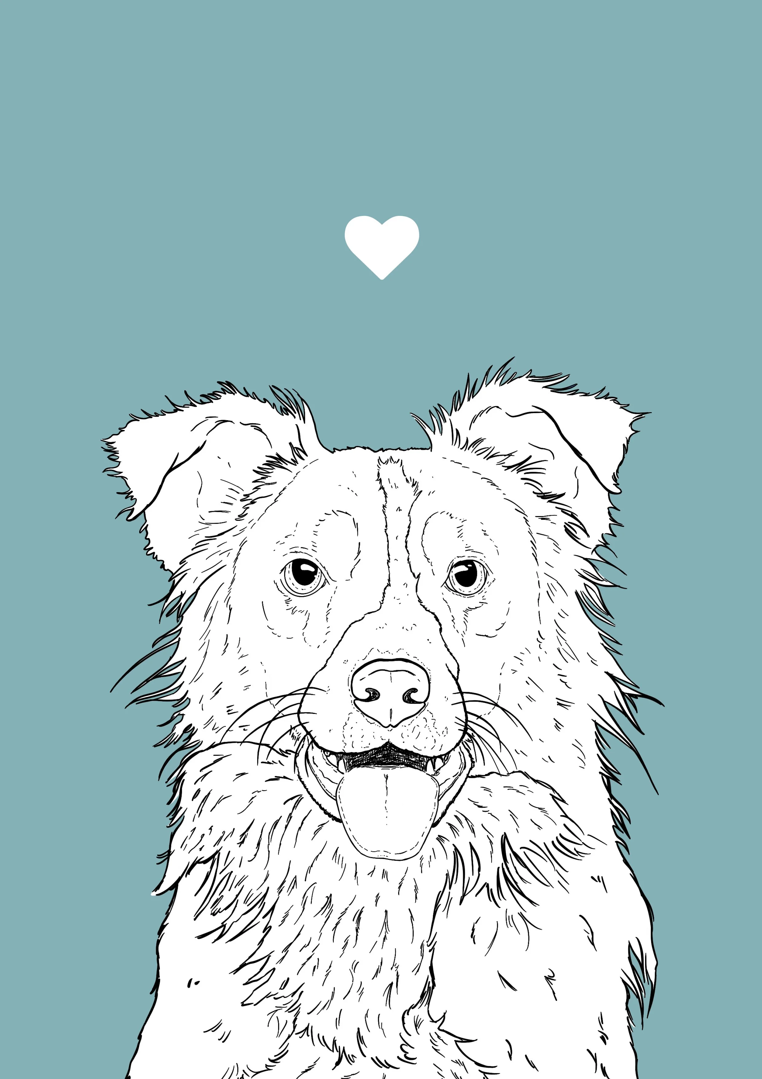 1. Border Collie_Unframed.jpg
