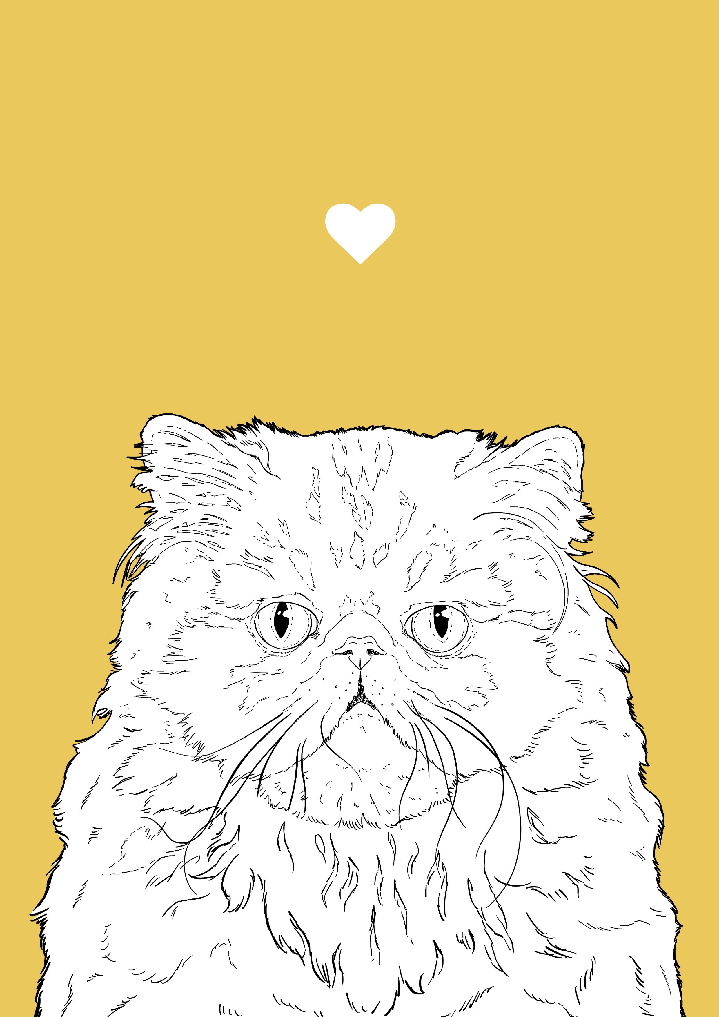An A4 print with a yellow background & black & white digital illustration of the head & shoulders of a Persian cat. A small white love heart sits not far above their head.