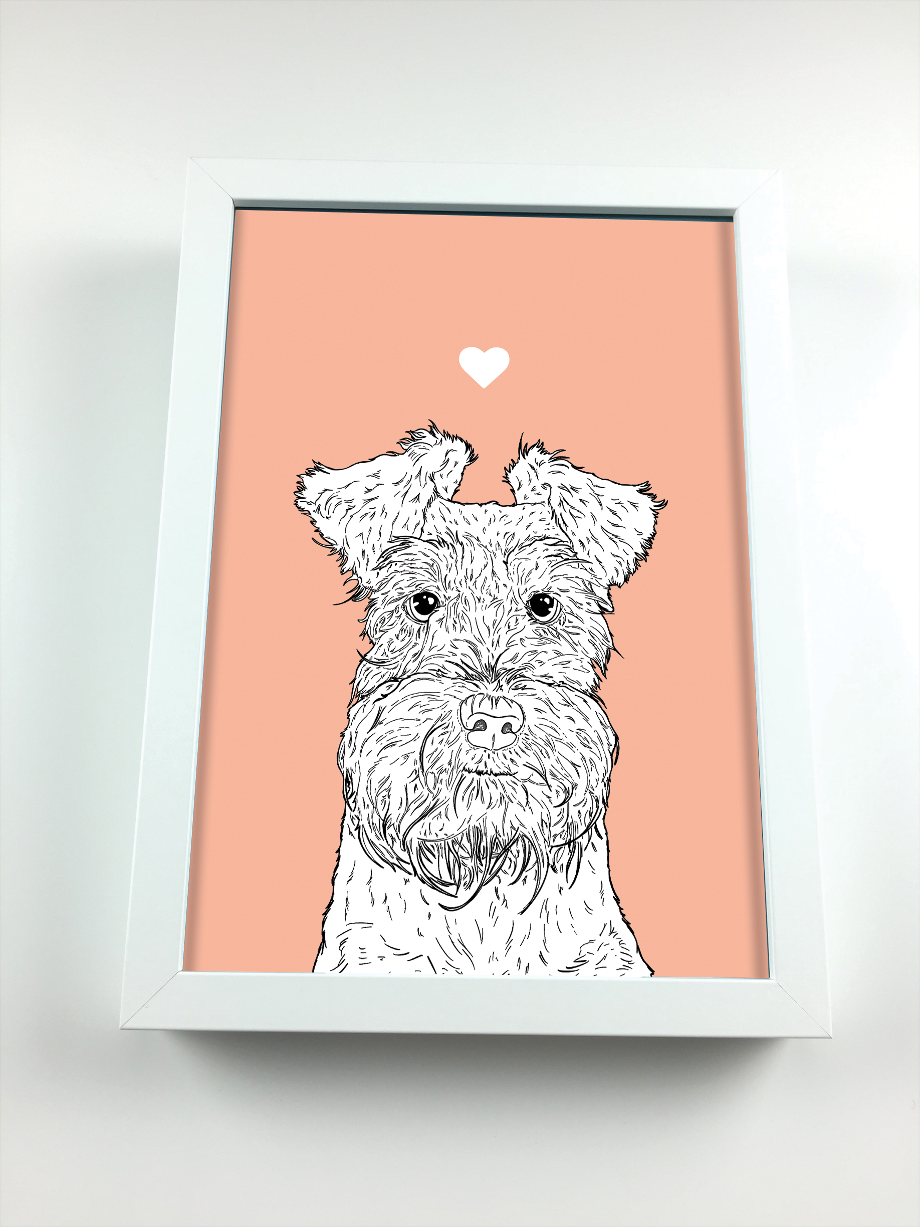 Mini Schnauzer A4 Print