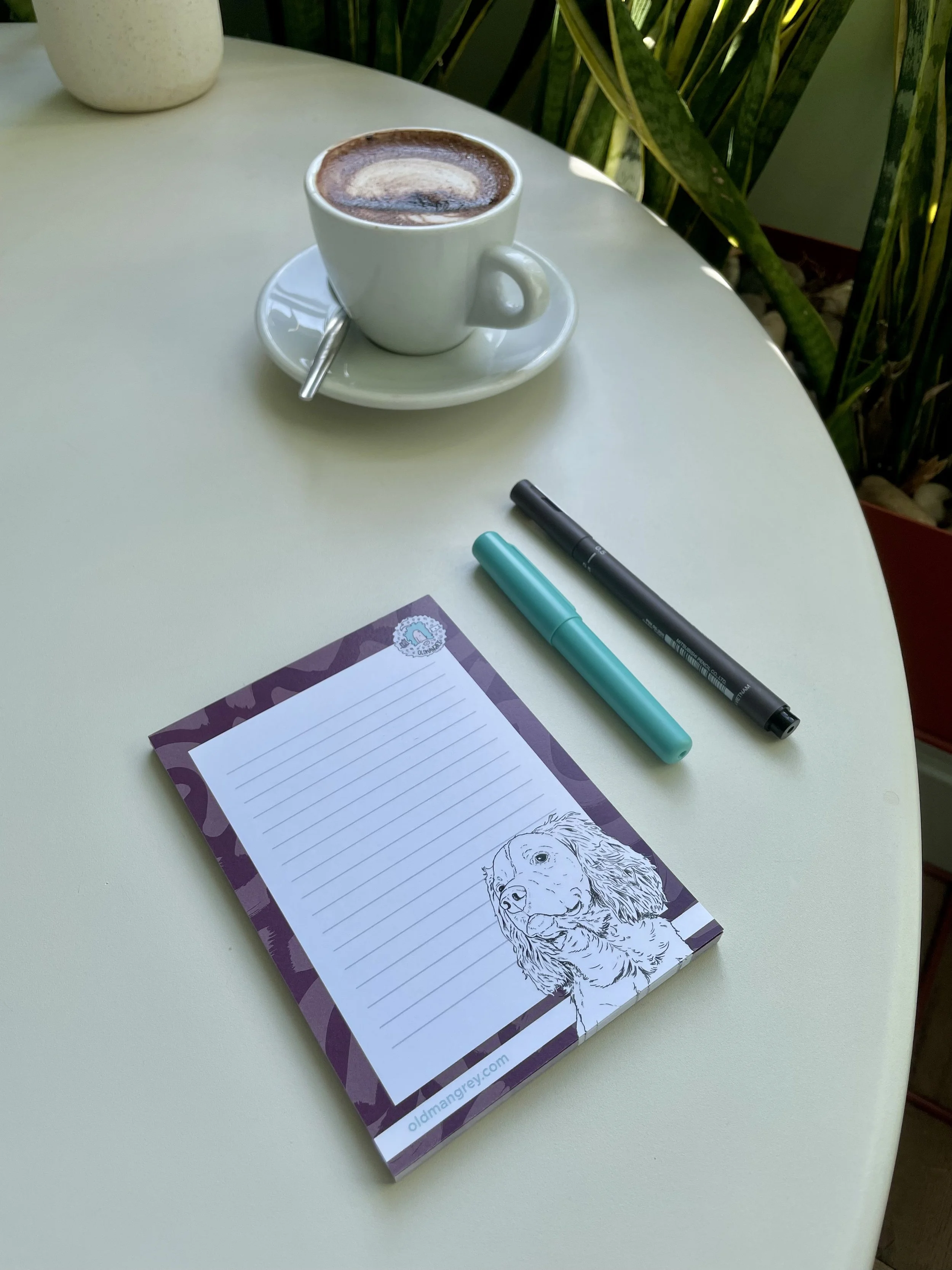 2. Springer Spaniel_cafe 1.jpeg