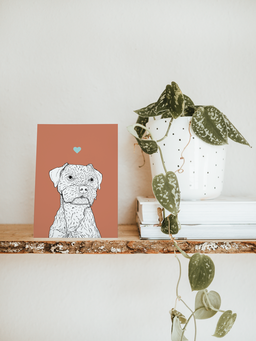 An A6 greetings card & white plant pot on a shelf. The card has a pink red coloured background, with a black & white digital illustration of the head & shoulders of a Border Terrier dog.