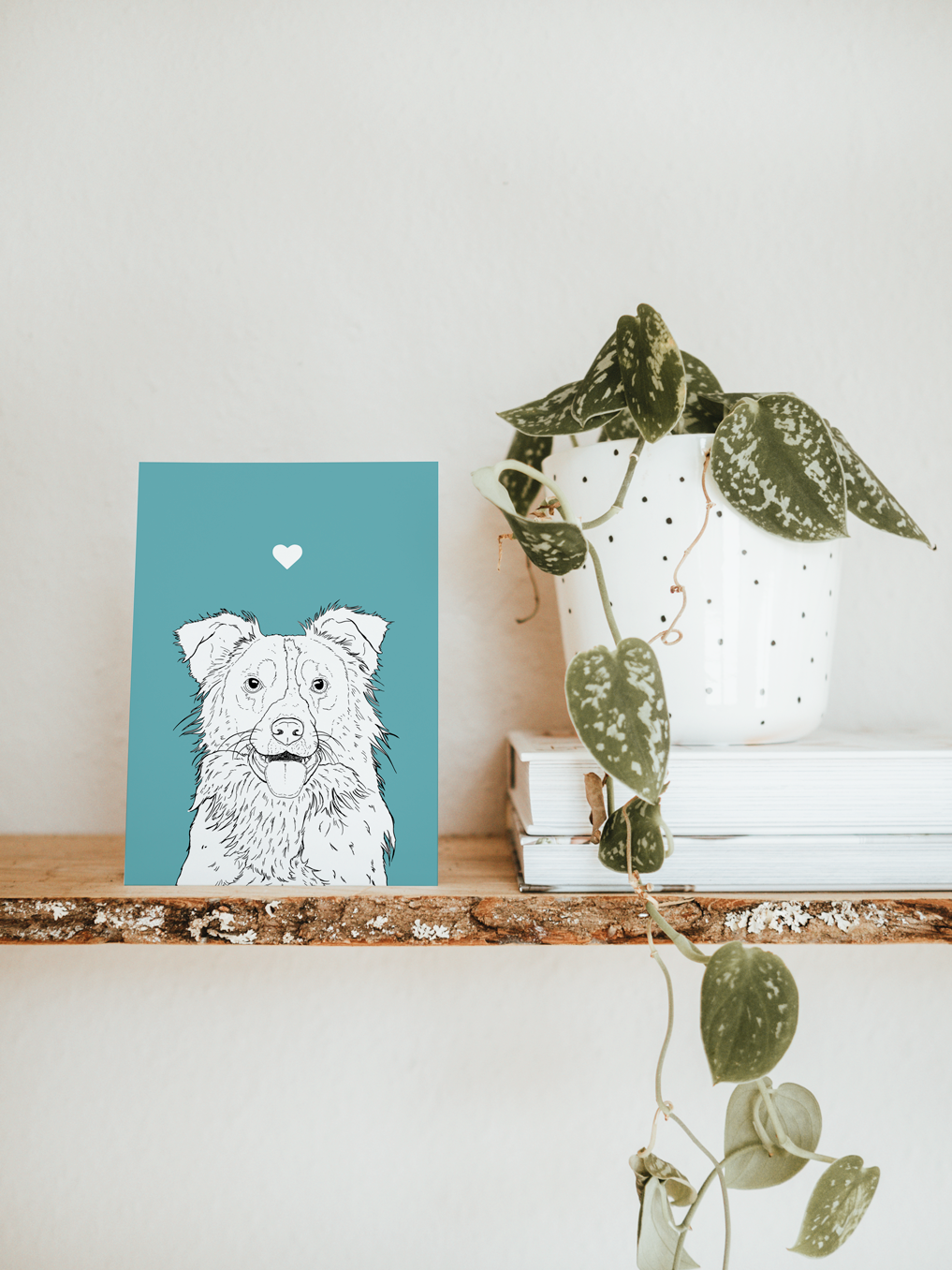 An A6 greetings card & white plant pot on a shelf. The card has a pale blue coloured background, with a black & white digital illustration of the head & shoulders of a Border Collie dog.