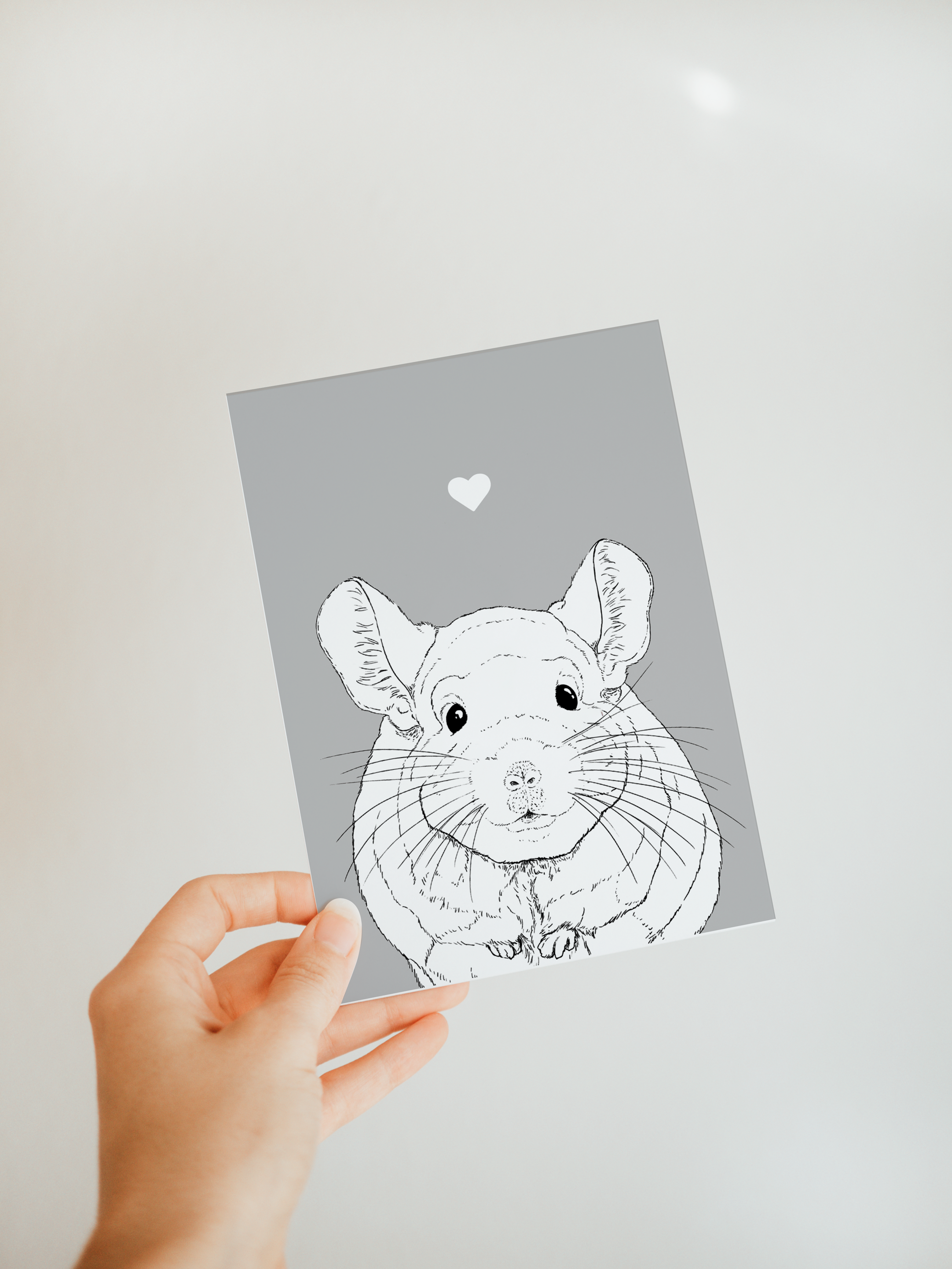 Chinchilla A6 Card