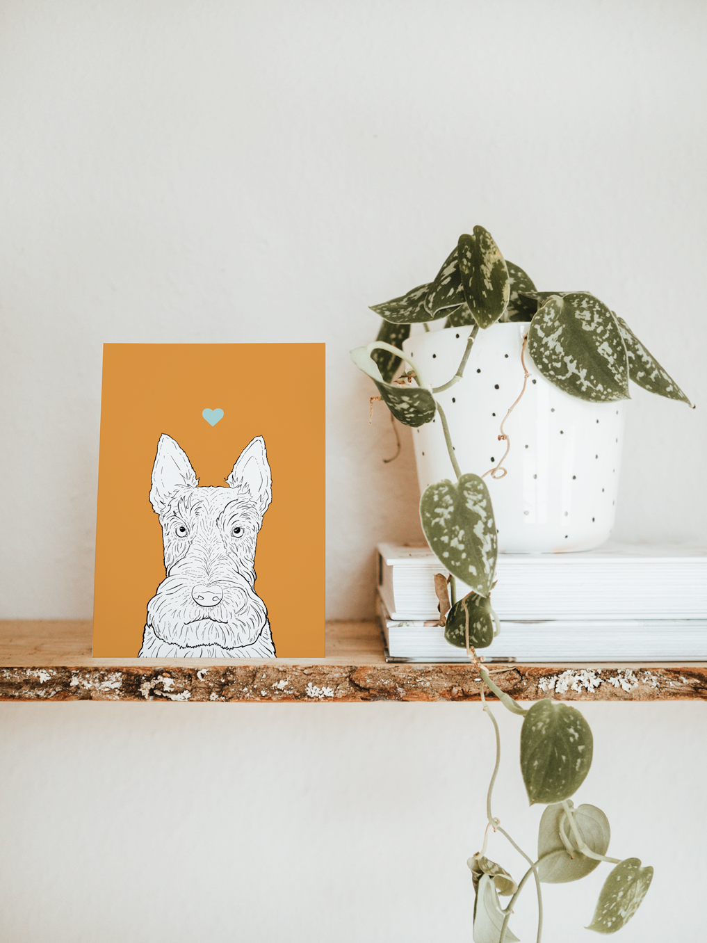 An A6 greetings card & white plant pot on a shelf. The card has an orange coloured background, with a black & white digital illustration of the head & shoulders of a Scottie dog.