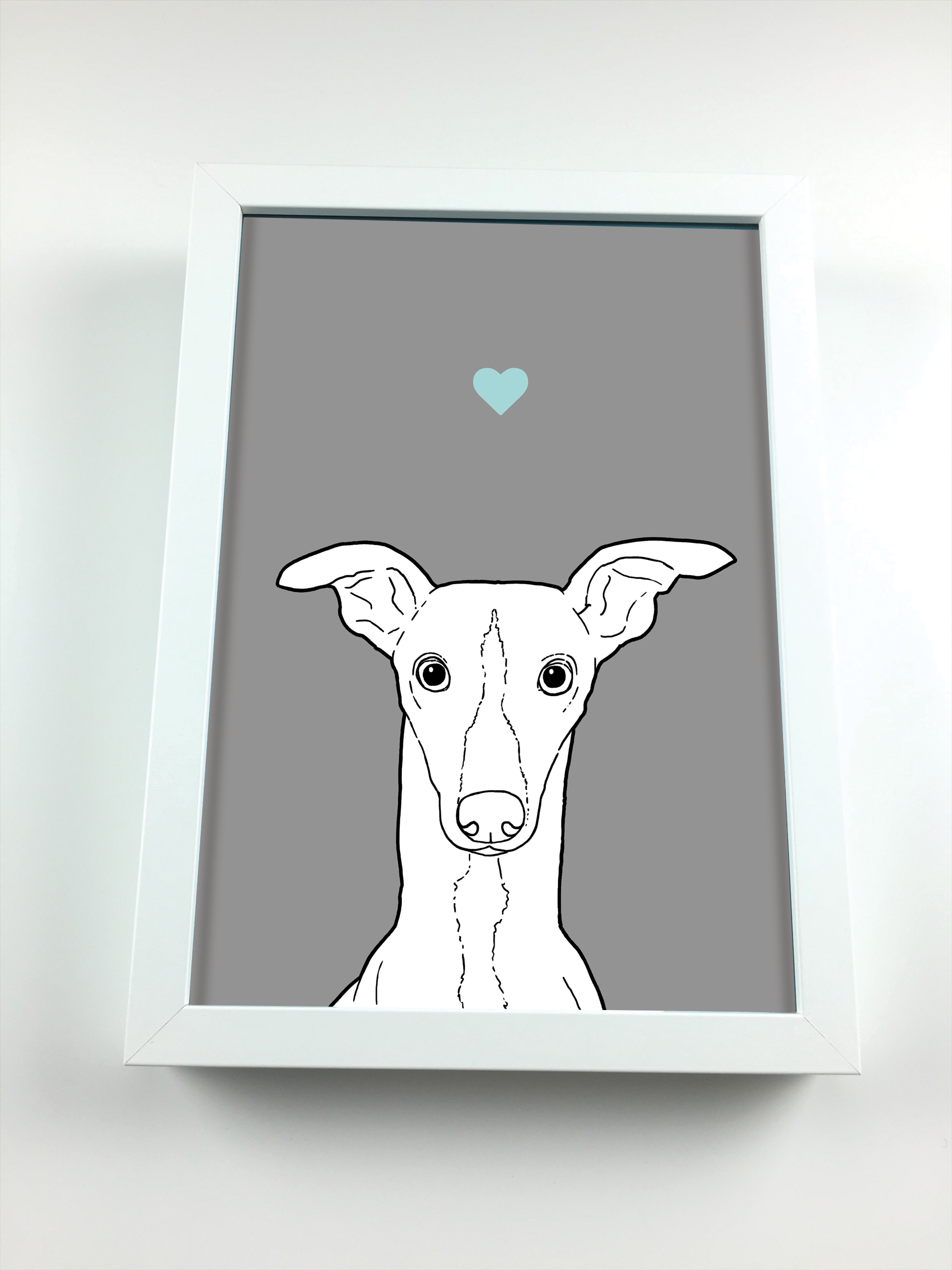 An A4 print with a grey background in a white frame. It has a black & white illustration of the head & shoulders of a Whippet dog. A small light blue love heart sits not far above their head.