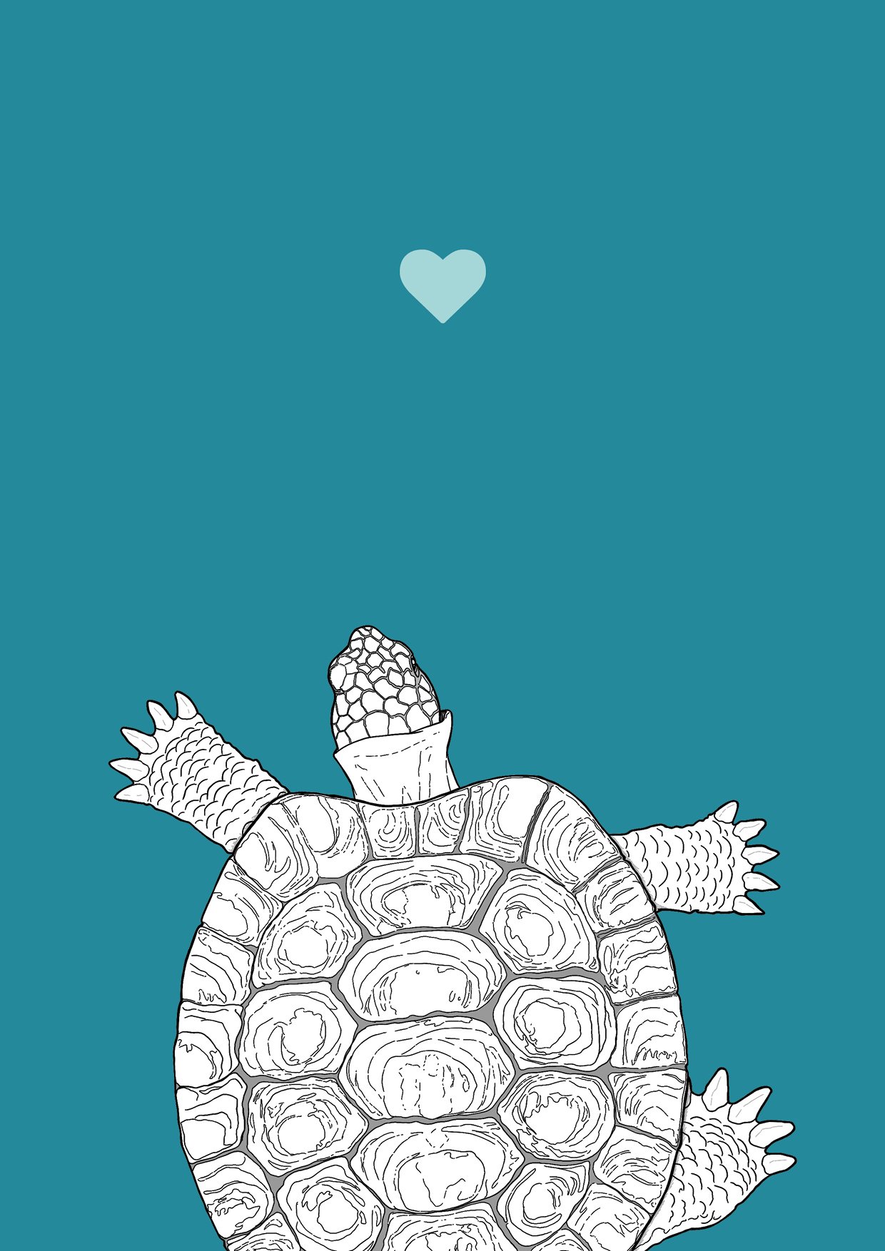 An A4 print with a turquoise background & black & white digital illustration of a tortoise. A small light blue love heart sits not far above their head.