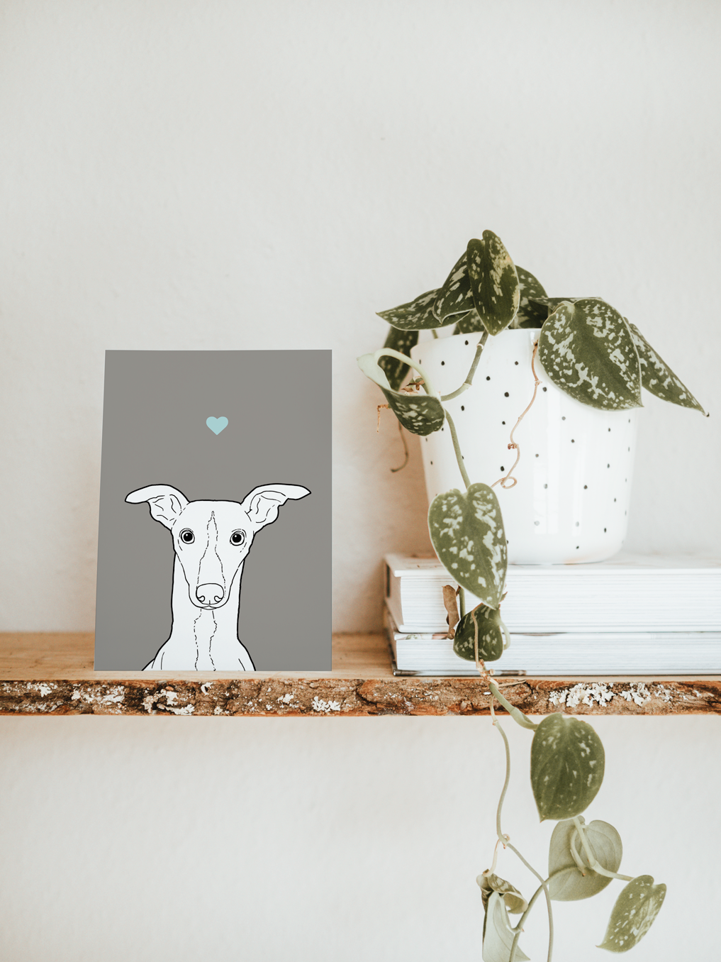 An A6 greetings card & white plant pot on a shelf. The card has a pale grey coloured background, with a black & white digital illustration of the head & shoulders of a Whippet dog.