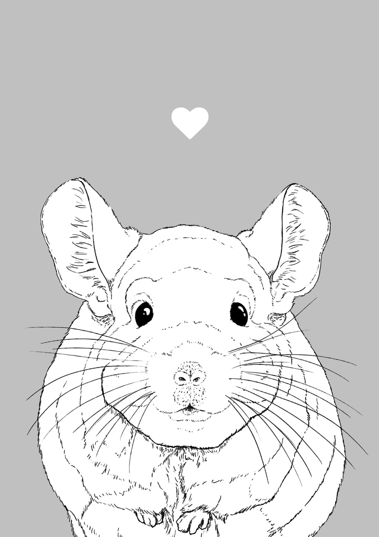 Chinchilla Pet Print by Edinburgh artist Graeme A Clark aka Oldmangrey Illustration.