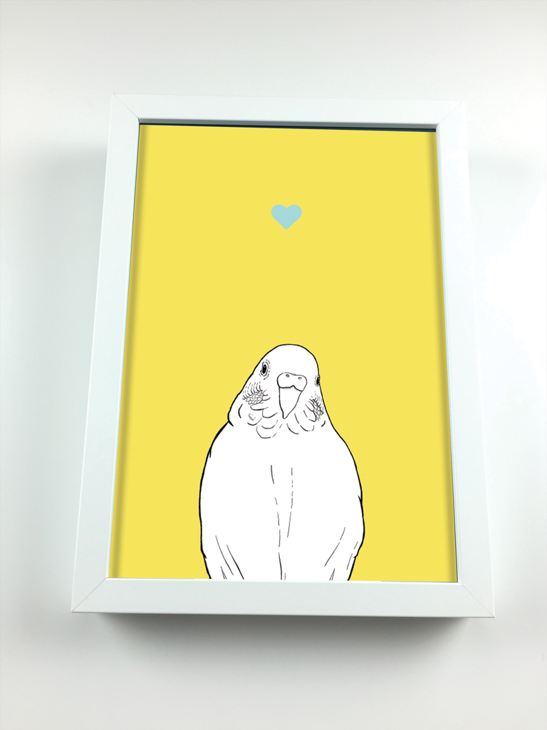 Budgie A4 Print