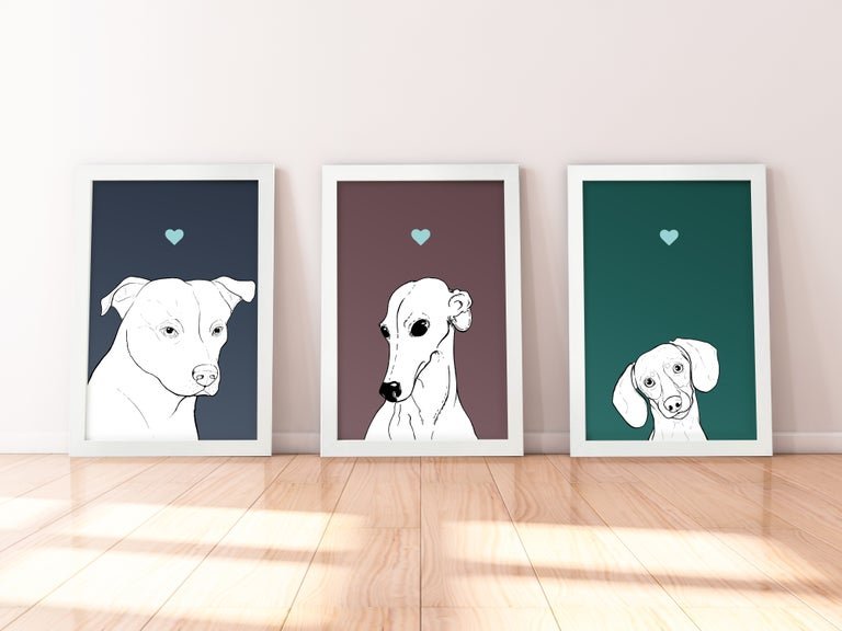 A trio of A4 prints in white wooden frames leaning against a white wall. Each has a black & white digital illustration of the head & shoulders of a different dog breed: Staffie, Greyhound, Dachshund