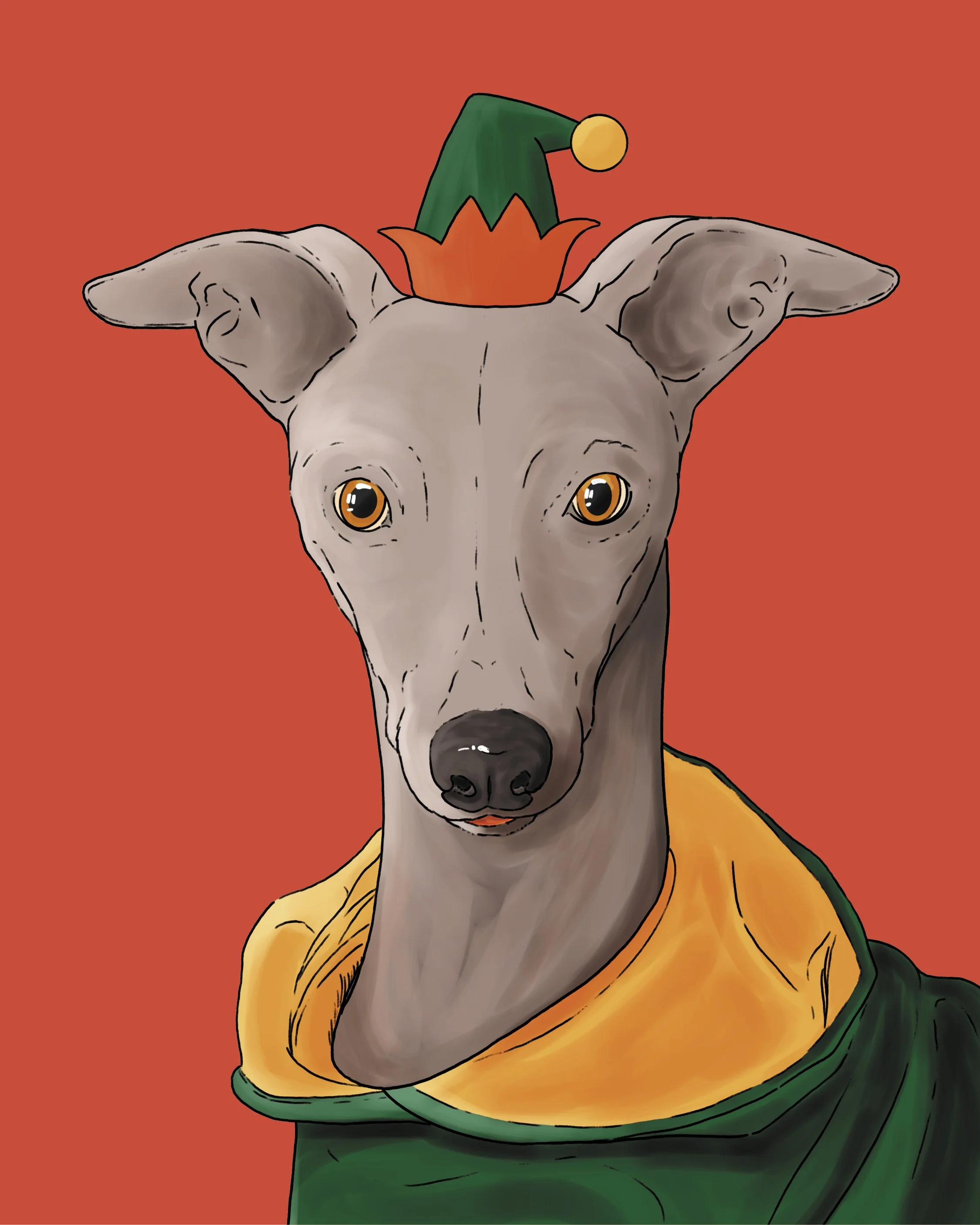 Design from an A6 Dog Christmas Card, bright digital illustration of a Whippet dog in a green & red elf hat! Set on a flat red background.
