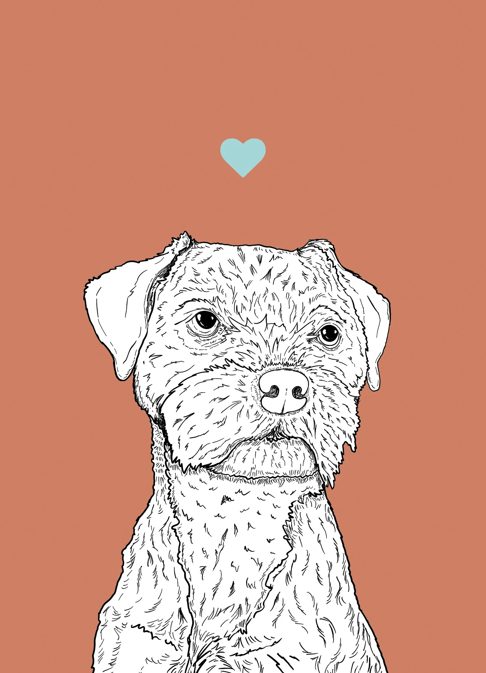 An A4 print with a pink red background & black & white digital illustration of the head & shoulders of a Border Terrier dog. A small light blue love heart sits not far above their head.