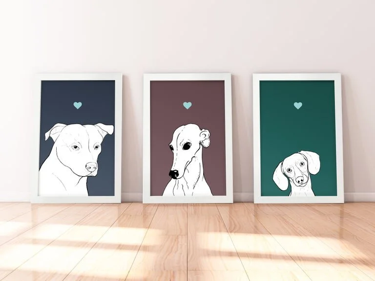 A trio of A4 prints in white wooden frames leaning against a white wall. Each has a black & white digital illustration of the head & shoulders of a different dog breed: Staffy, Greyhound & Dachshund