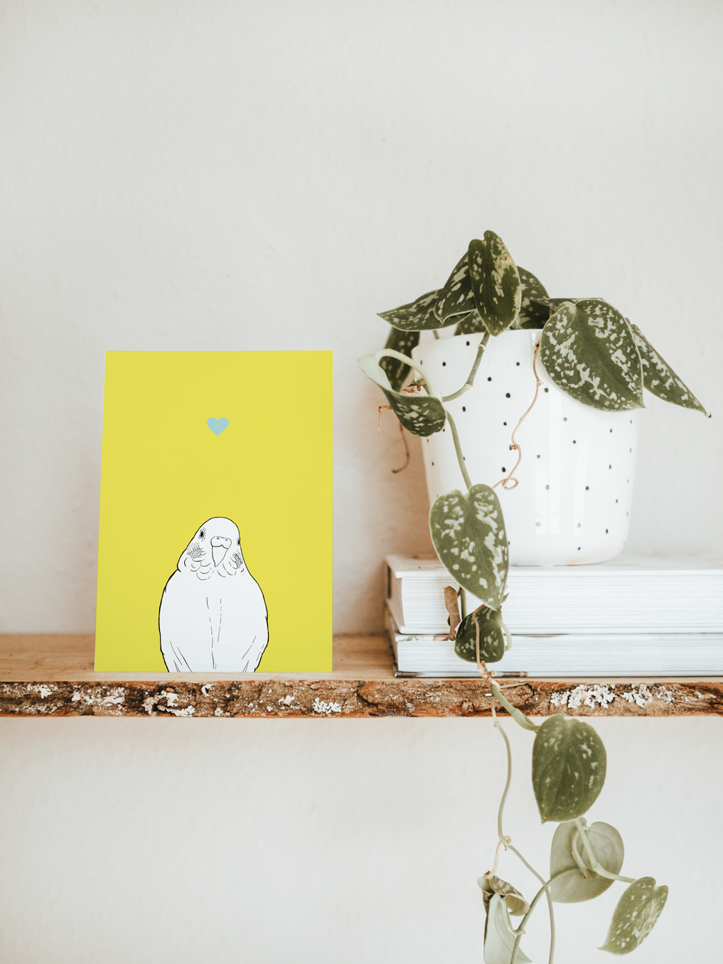 An A6 greetings card & white plant pot on a shelf. The card has a yellow coloured background, with a black & white digital illustration of the head & shoulders of a budgie.