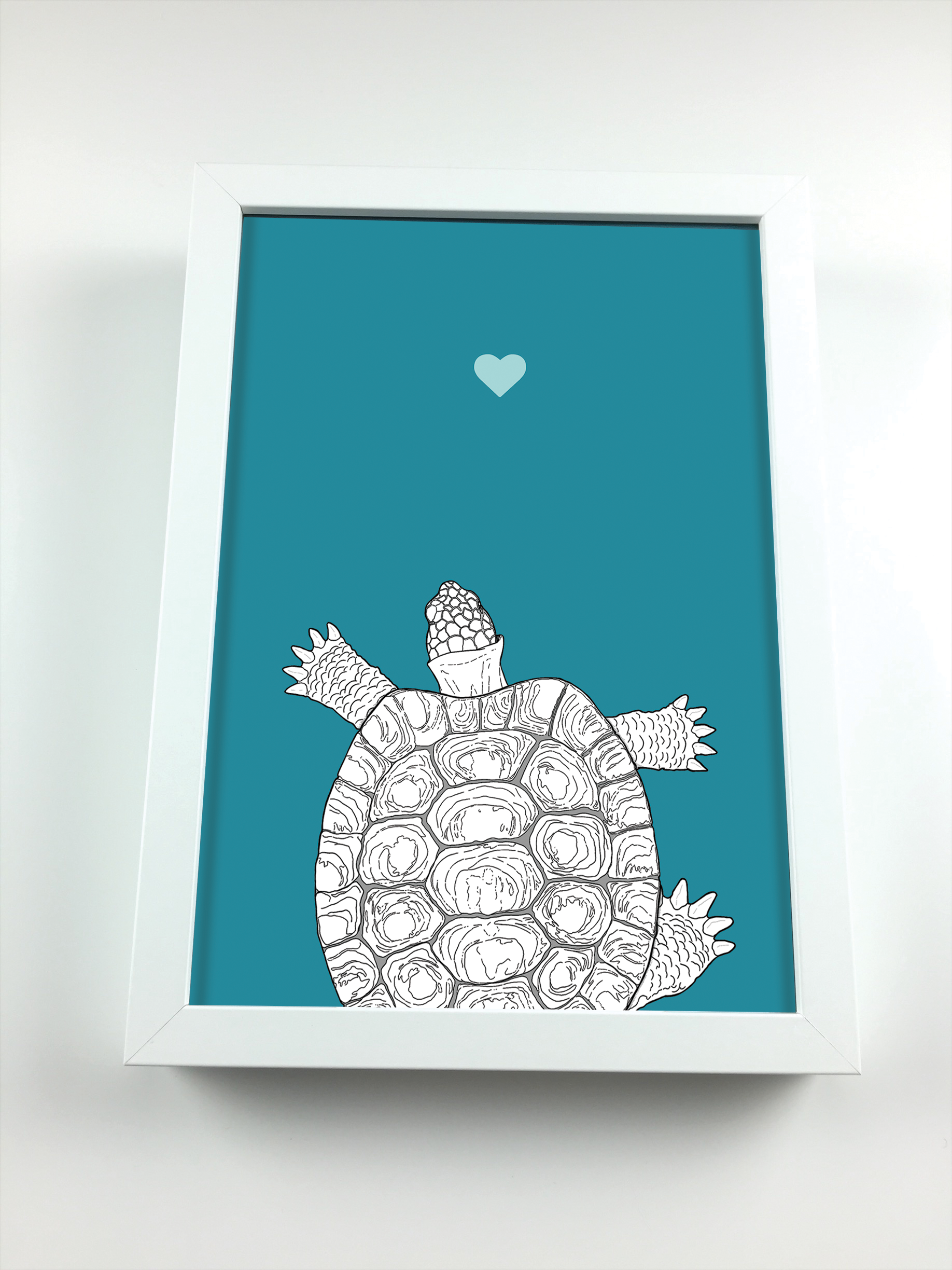 Tortoise A4 Print