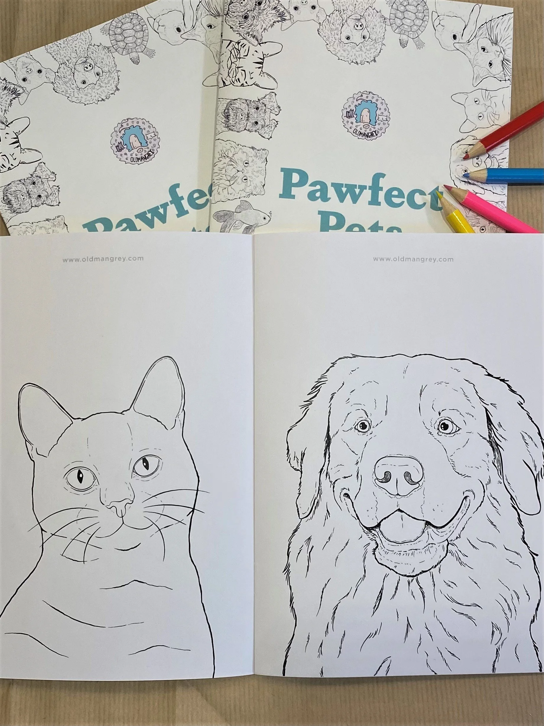 A double page spread from inside my Pawfect Pets colouring book - a Golden Retriever on the left & a shorthair cat on the right. Some mini colouring pencils are scattered around.