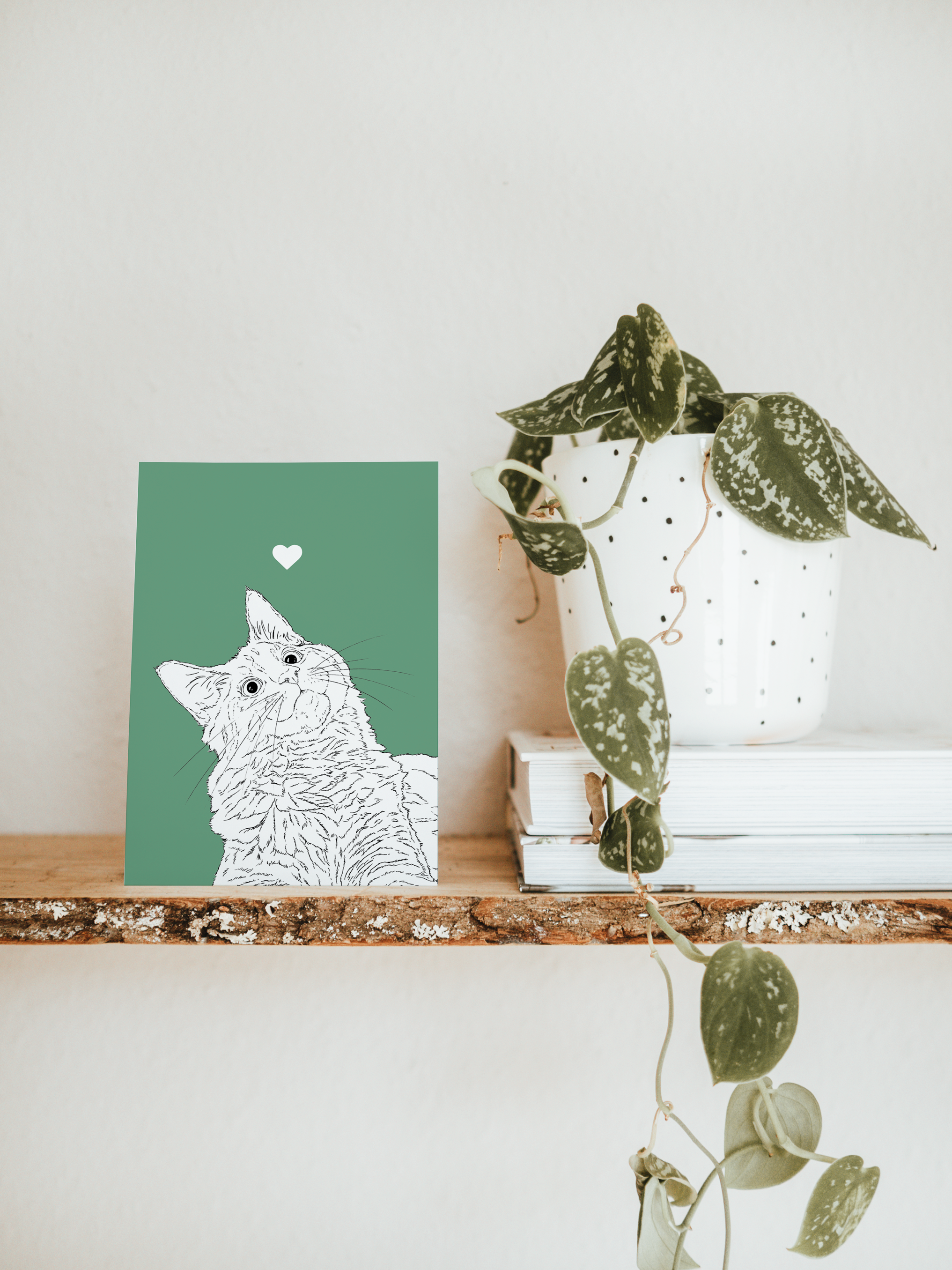 An A6 greetings card & white plant pot on a shelf. The card has a green coloured background, with a black & white digital illustration of the head & shoulders of a Kitty Cat.