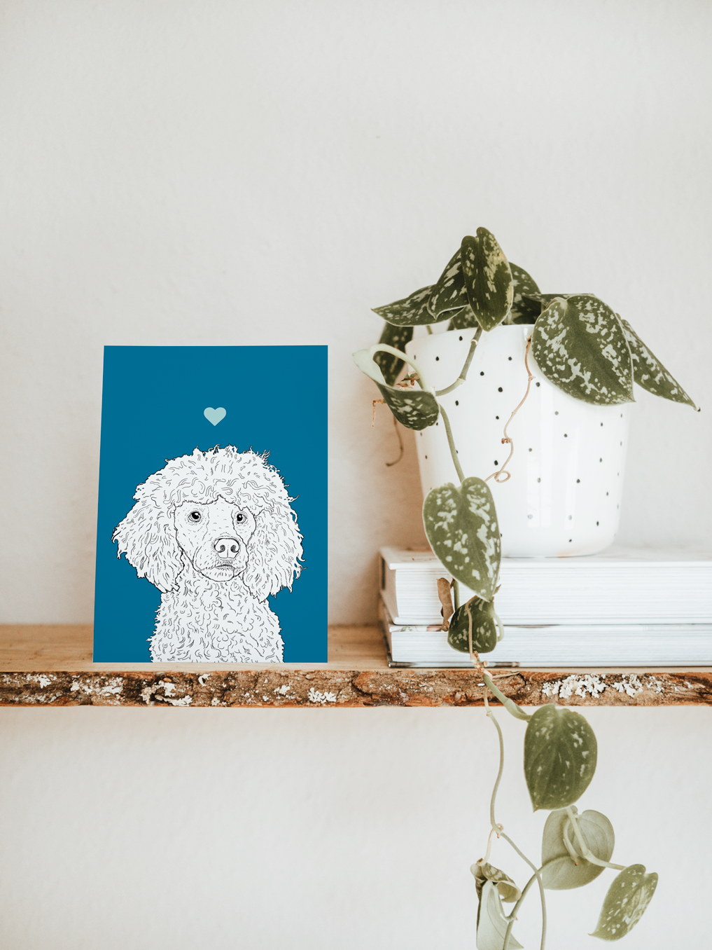 An A6 greetings card & white plant pot on a shelf. The card has a royal blue coloured background, with a black & white digital illustration of the head & shoulders of a Poodle dog.