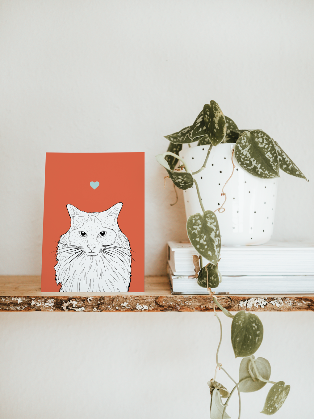 An A6 greetings card & white plant pot on a shelf. The card has a red coloured background, with a black & white digital illustration of the head & shoulders of a Ragdoll cat.