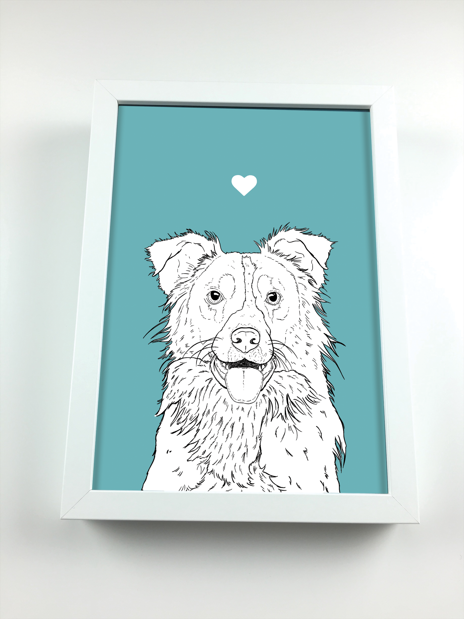 2. Border Collie_Framed.png