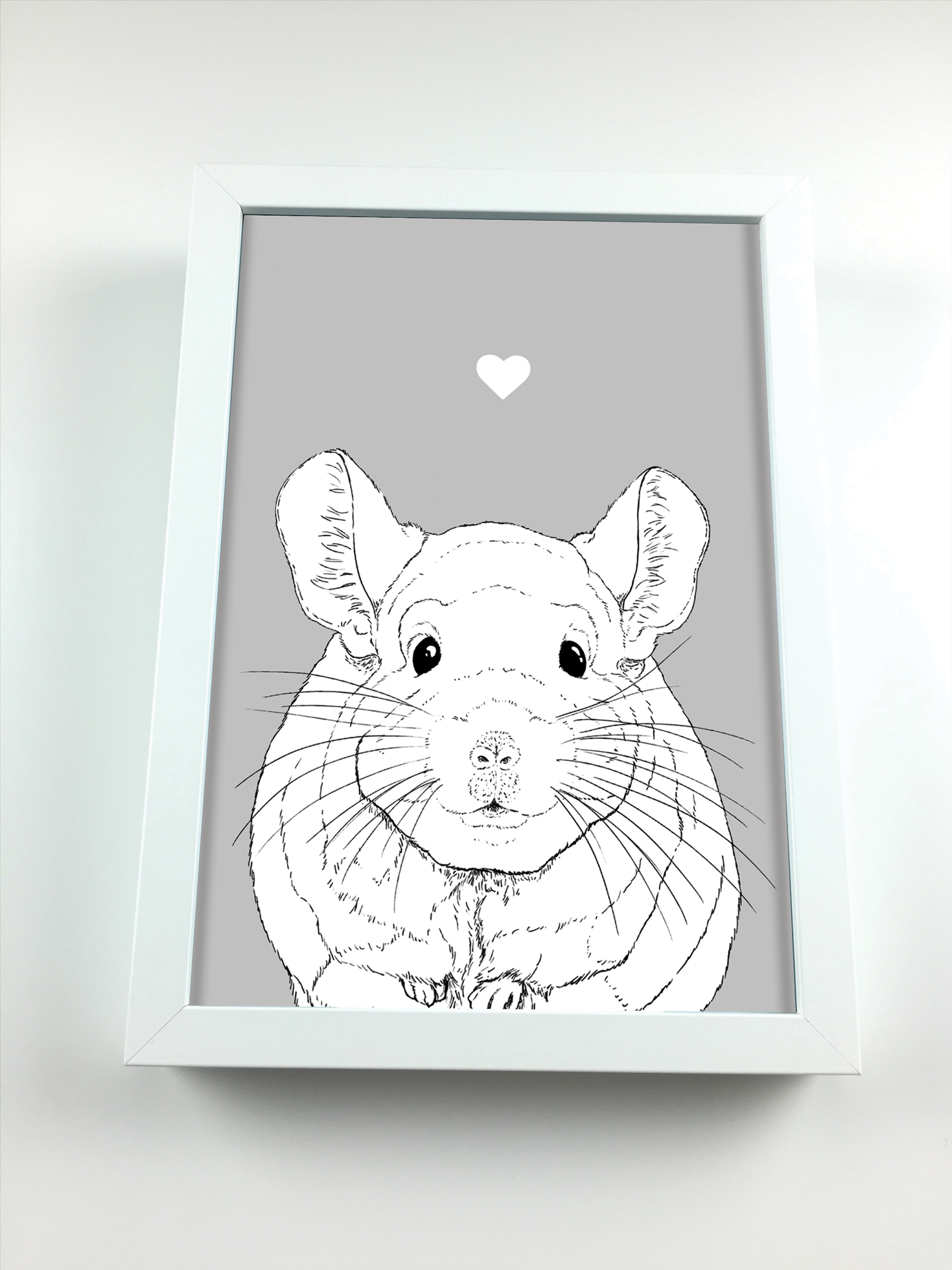 Chinchilla A4 Print