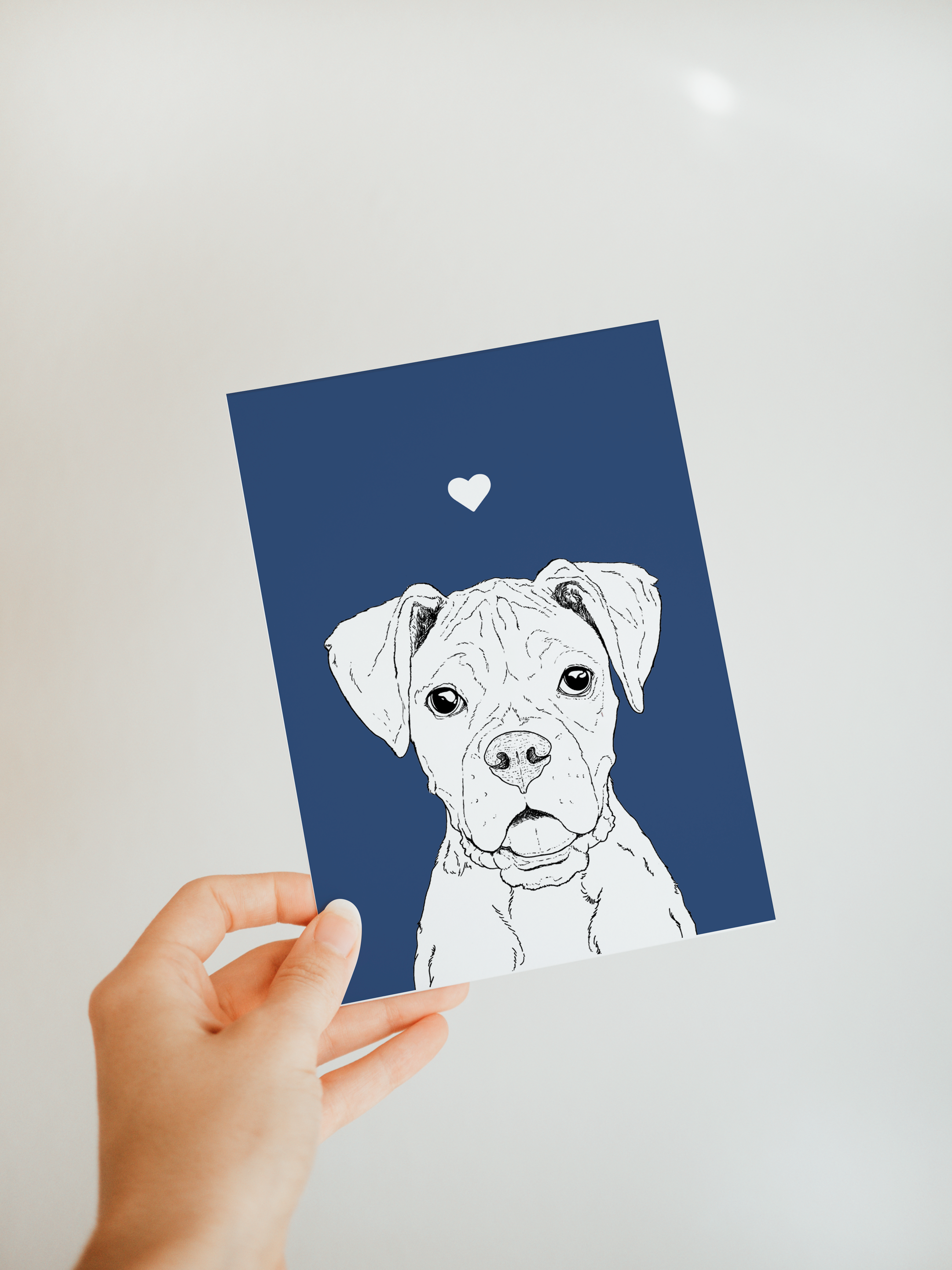 Boxer A6 Card