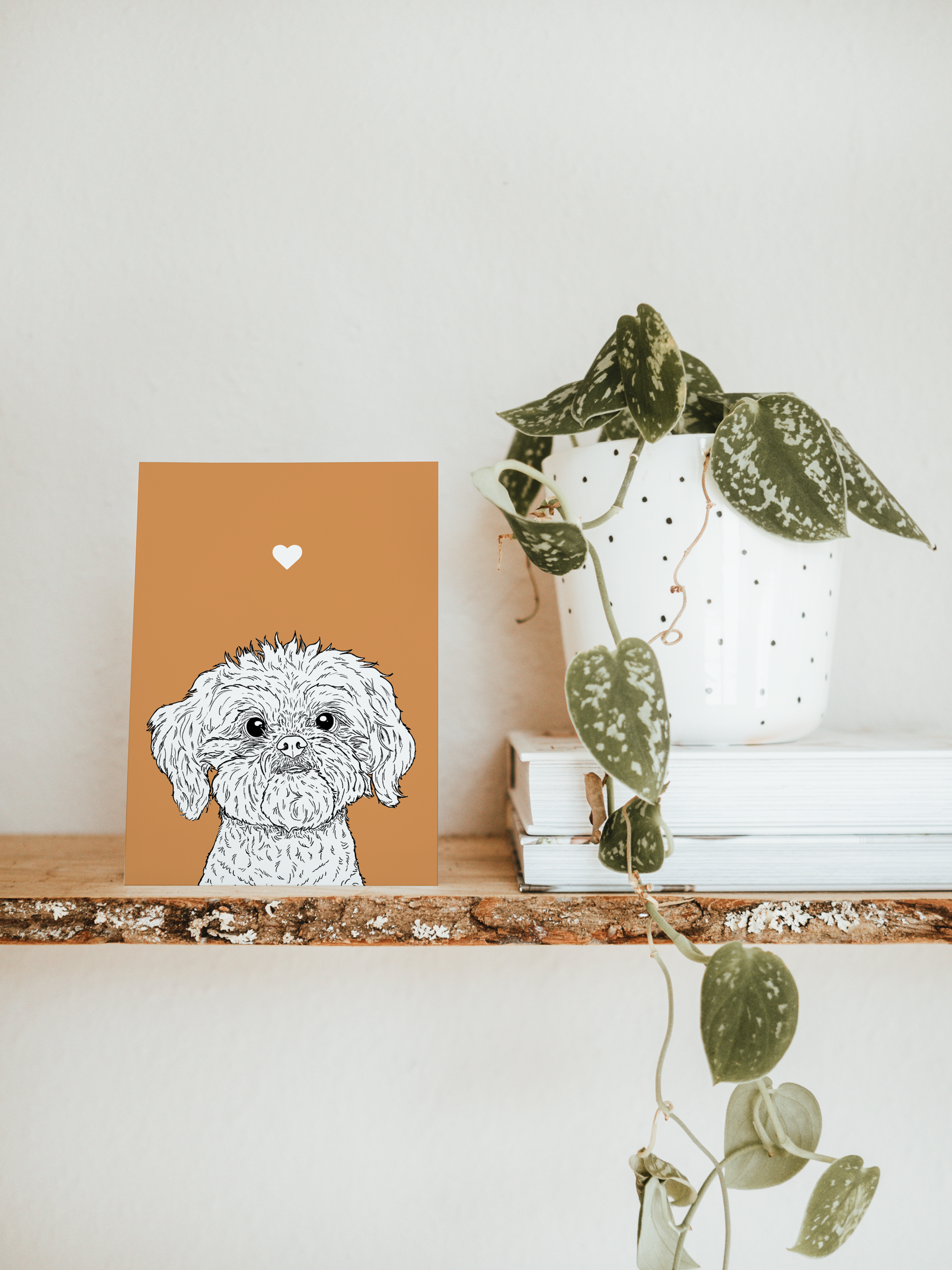 An A6 greetings card & white plant pot on a shelf. The card has an orange coloured background, with a black & white digital illustration of the head & shoulders of a Shih Tzu dog.