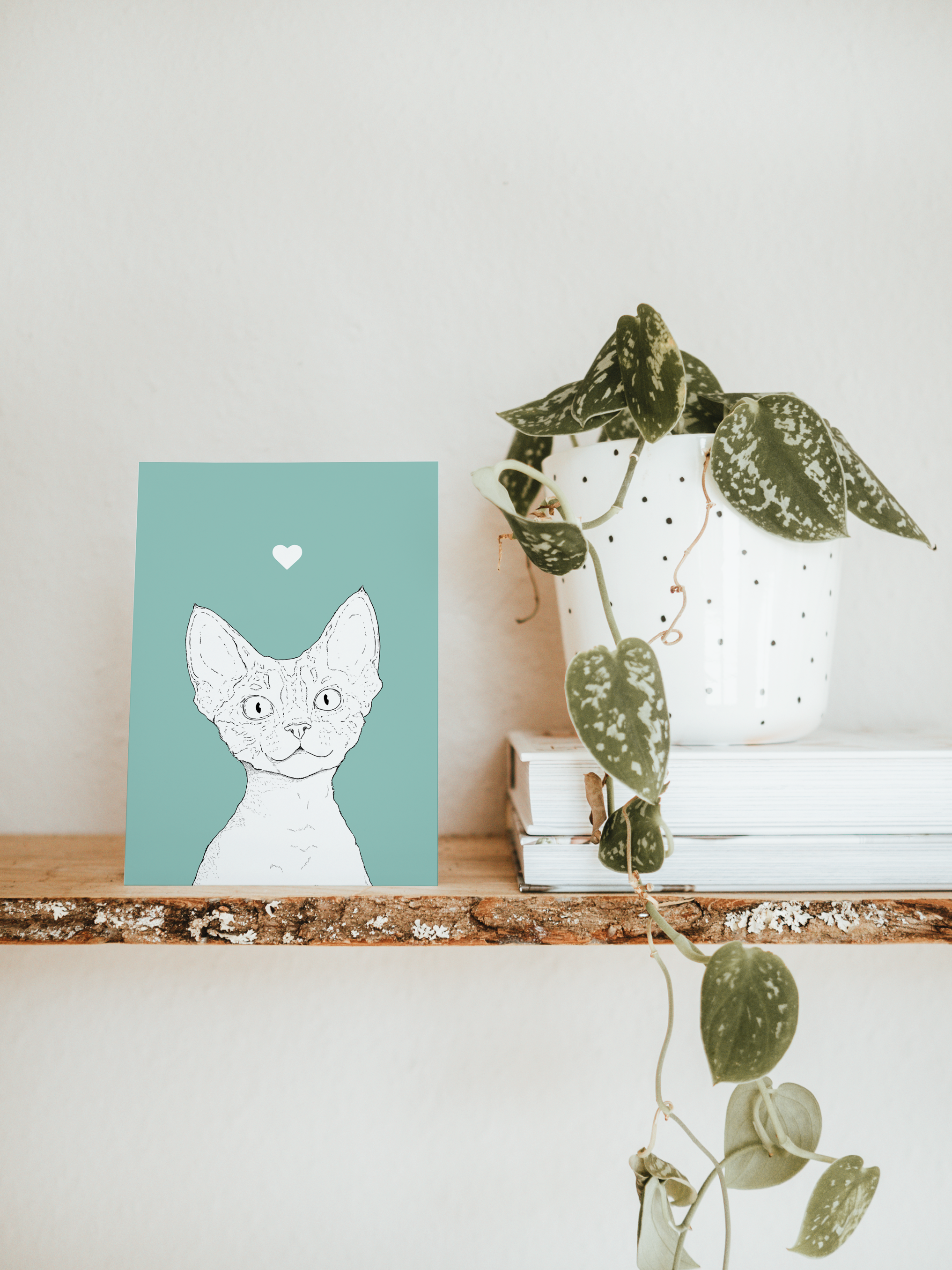 An A6 greetings card & white plant pot on a shelf. The card has a soft sage green coloured background, with a black & white digital illustration of the head & shoulders of a Devon Rex cat.
