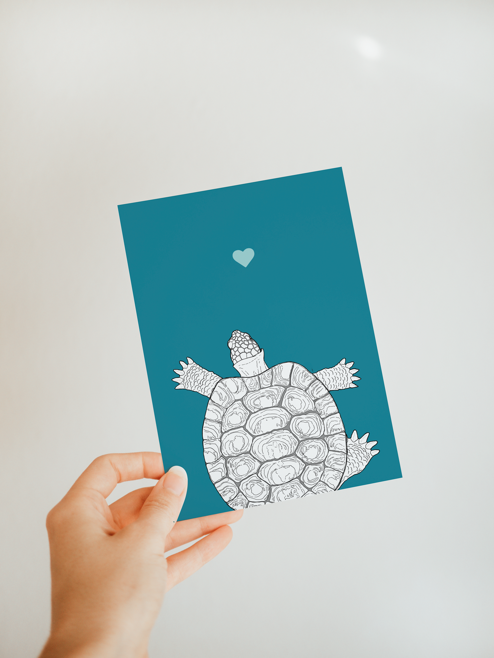 Tortoise A6 Card
