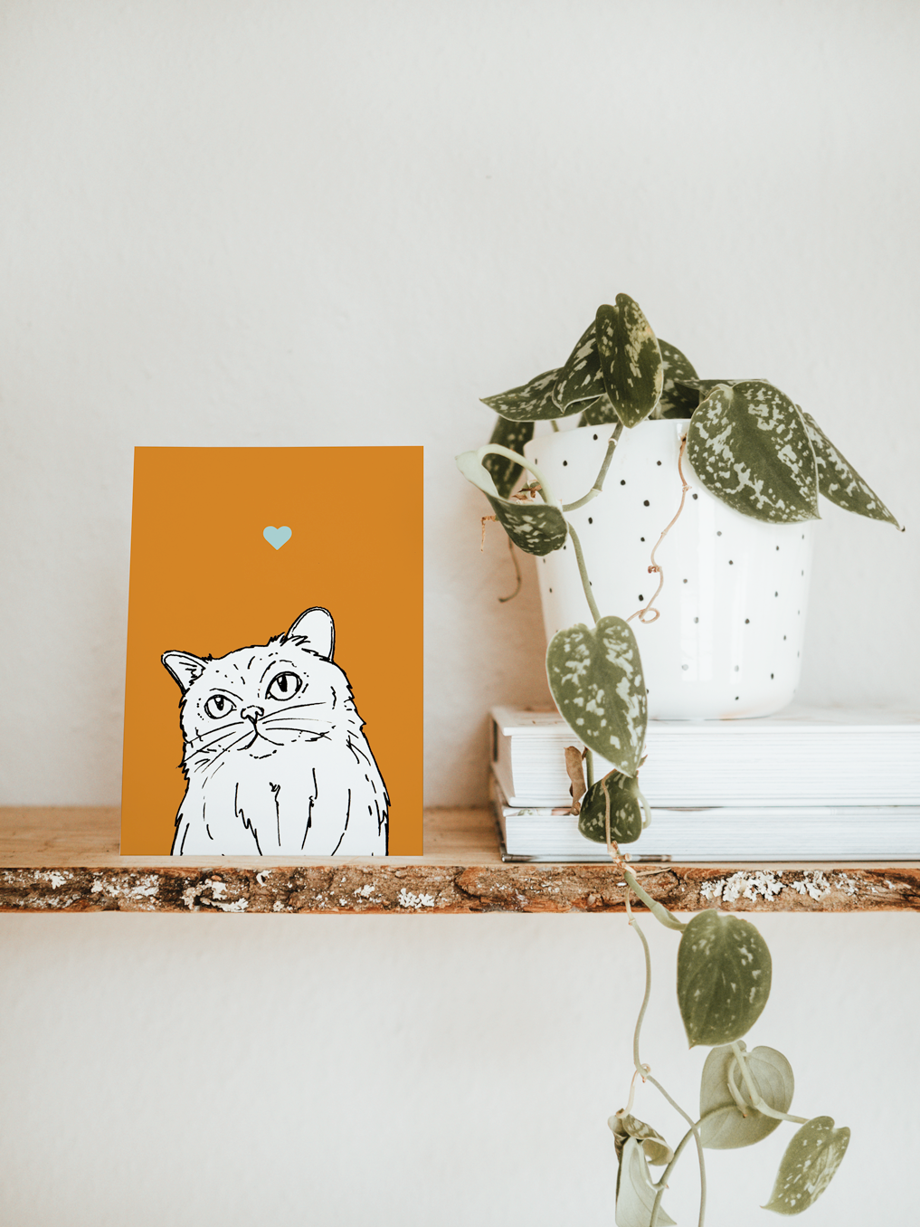 An A6 greetings card & white plant pot on a shelf. The card has an orange coloured background, with a black & white digital illustration of the head & shoulders of a fluffy cat.