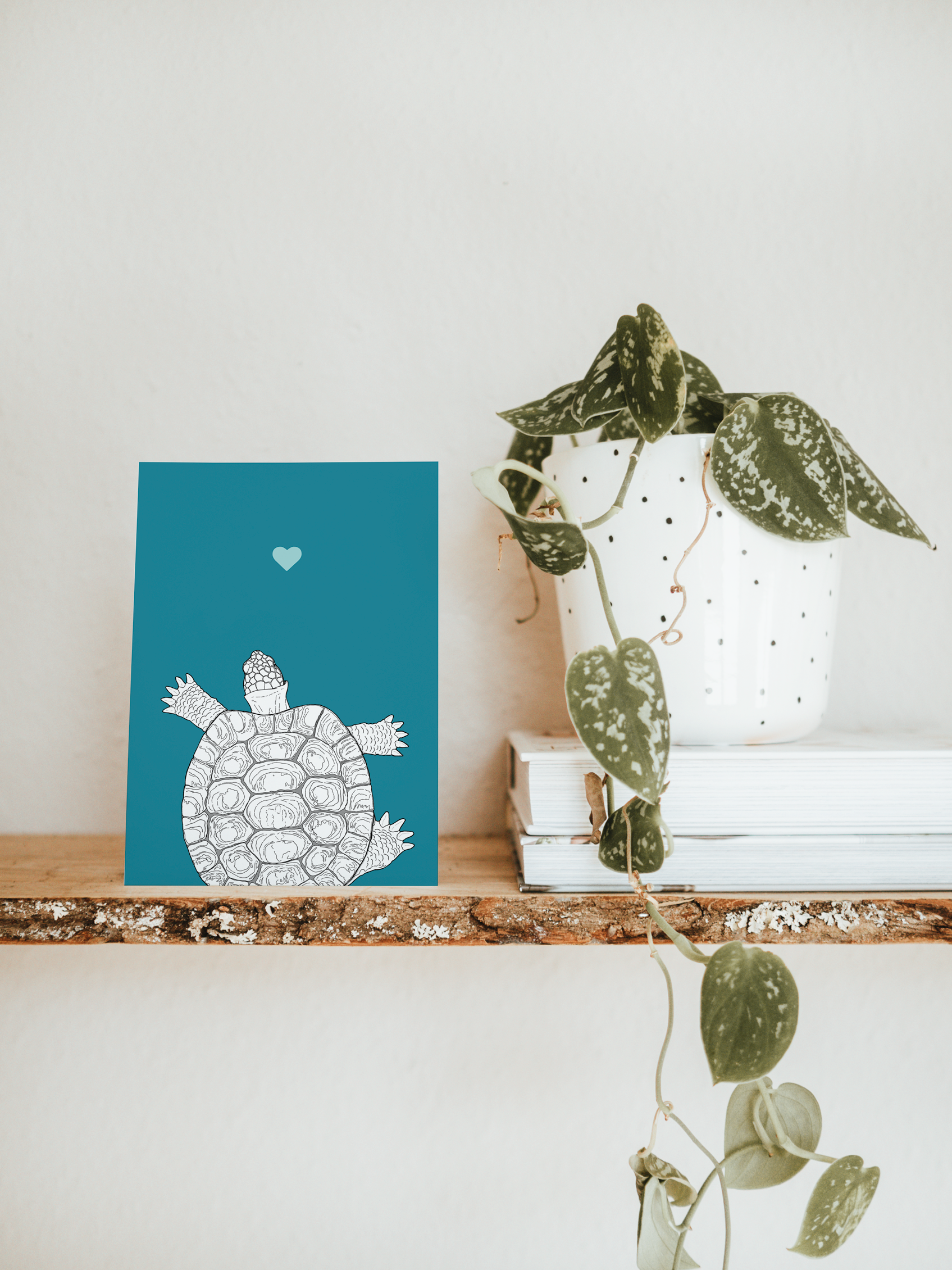 An A6 greetings card & white plant pot on a shelf. The card has a deep teal coloured background, with a black & white digital illustration of a Tortoise.