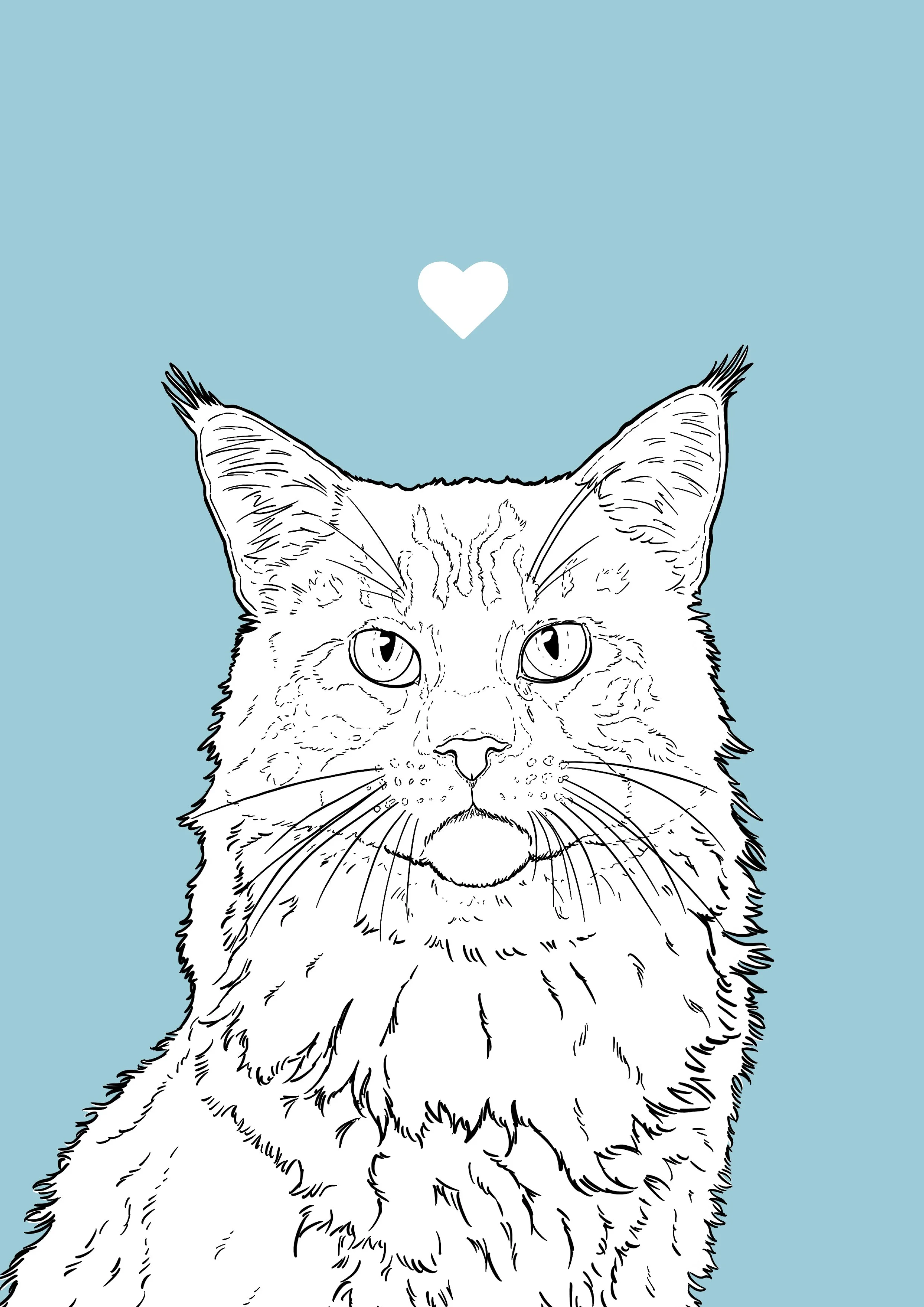 An A4 print with a pale blue background & black & white digital illustration of the head & shoulders of a Maine Coon cat. A small white love heart sits not far above their head.