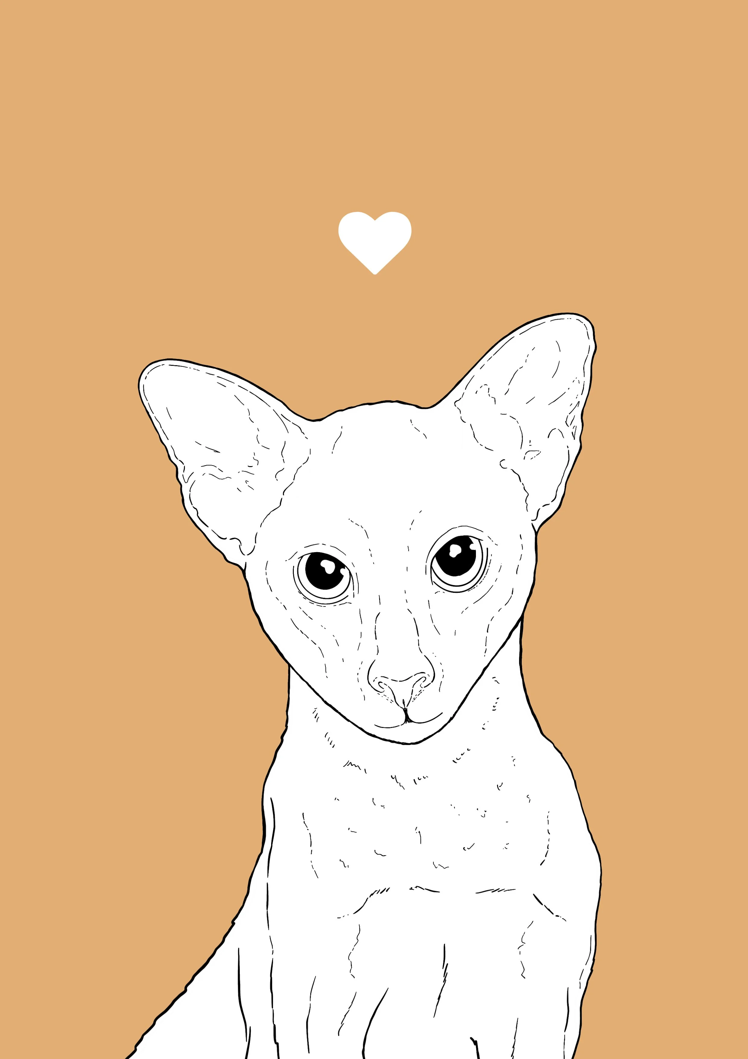 An A4 print with a soft orange background & black & white digital illustration of the head & shoulders of an Oriental cat. A small white love heart sits not far above their head.