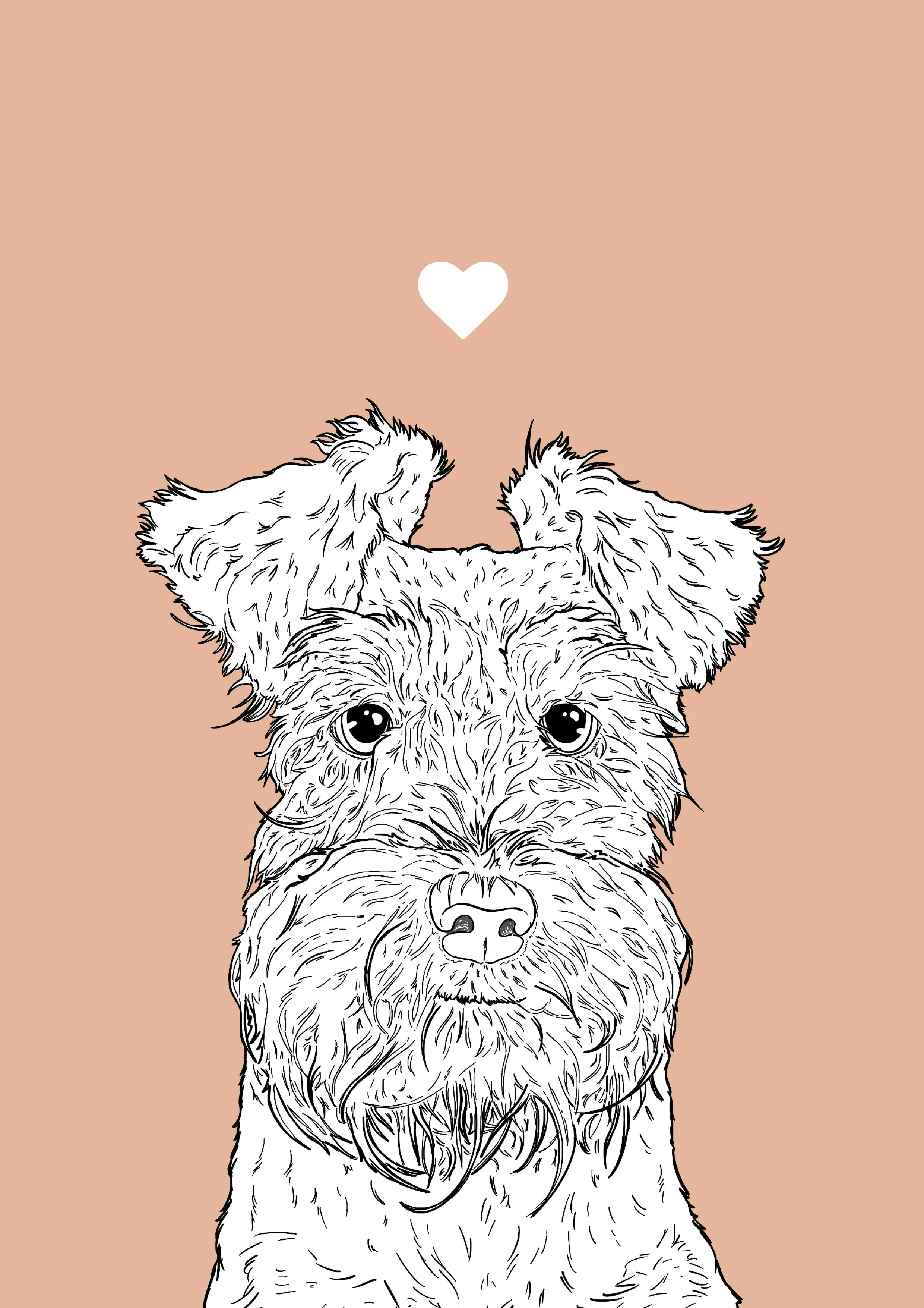 An A4 print with a pale pink background & black & white digital illustration of the head & shoulders of a Mini Schnauzer dog. A small white love heart sits not far above their head.