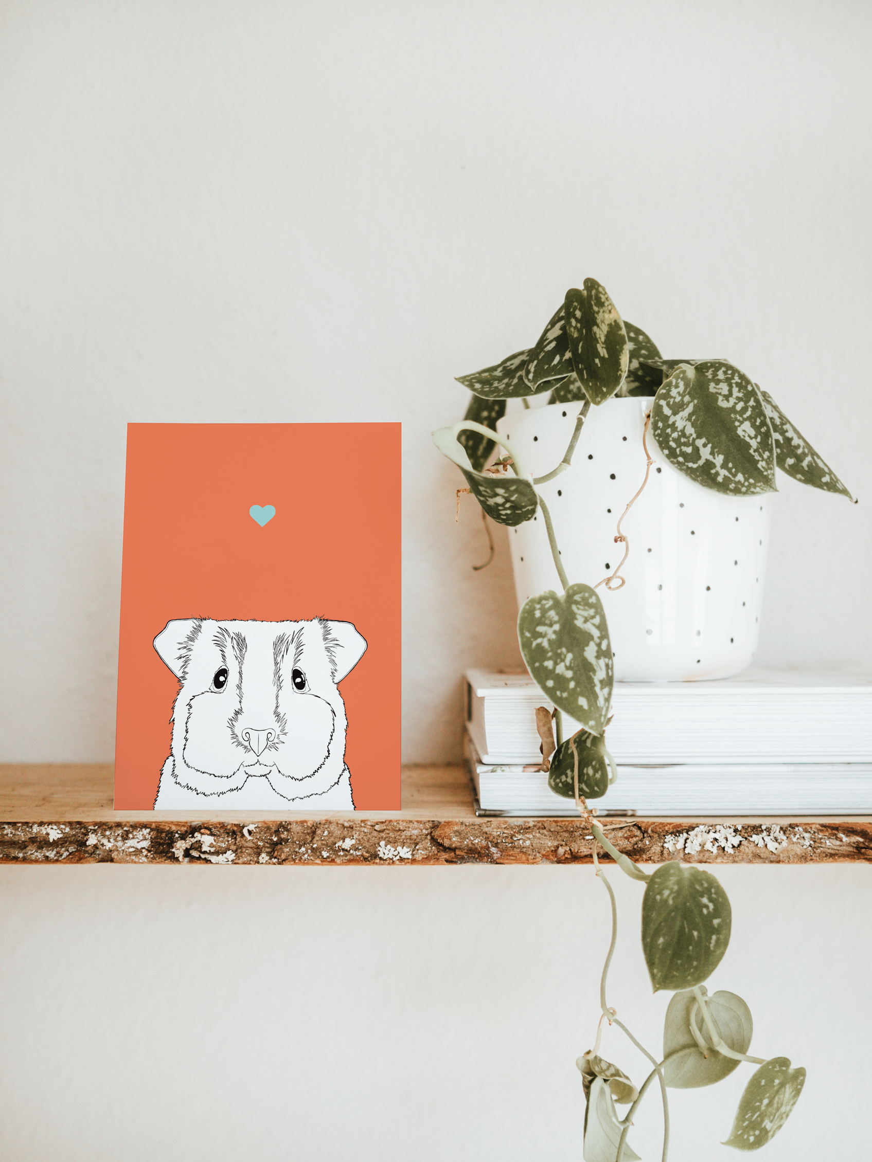 An A6 greetings card & white plant pot on a shelf. The card has a red coloured background, with a black & white digital illustration of the head & shoulders of a Guinea Pig.