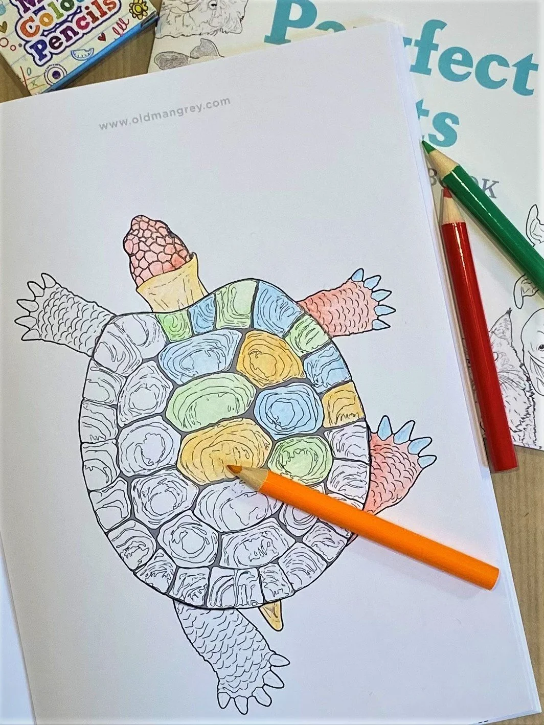 An inside page from my A5 Pawfect Pets colouring book - a tortoise illustrated partially coloured in. Some mini colouring pencils are scattered around.