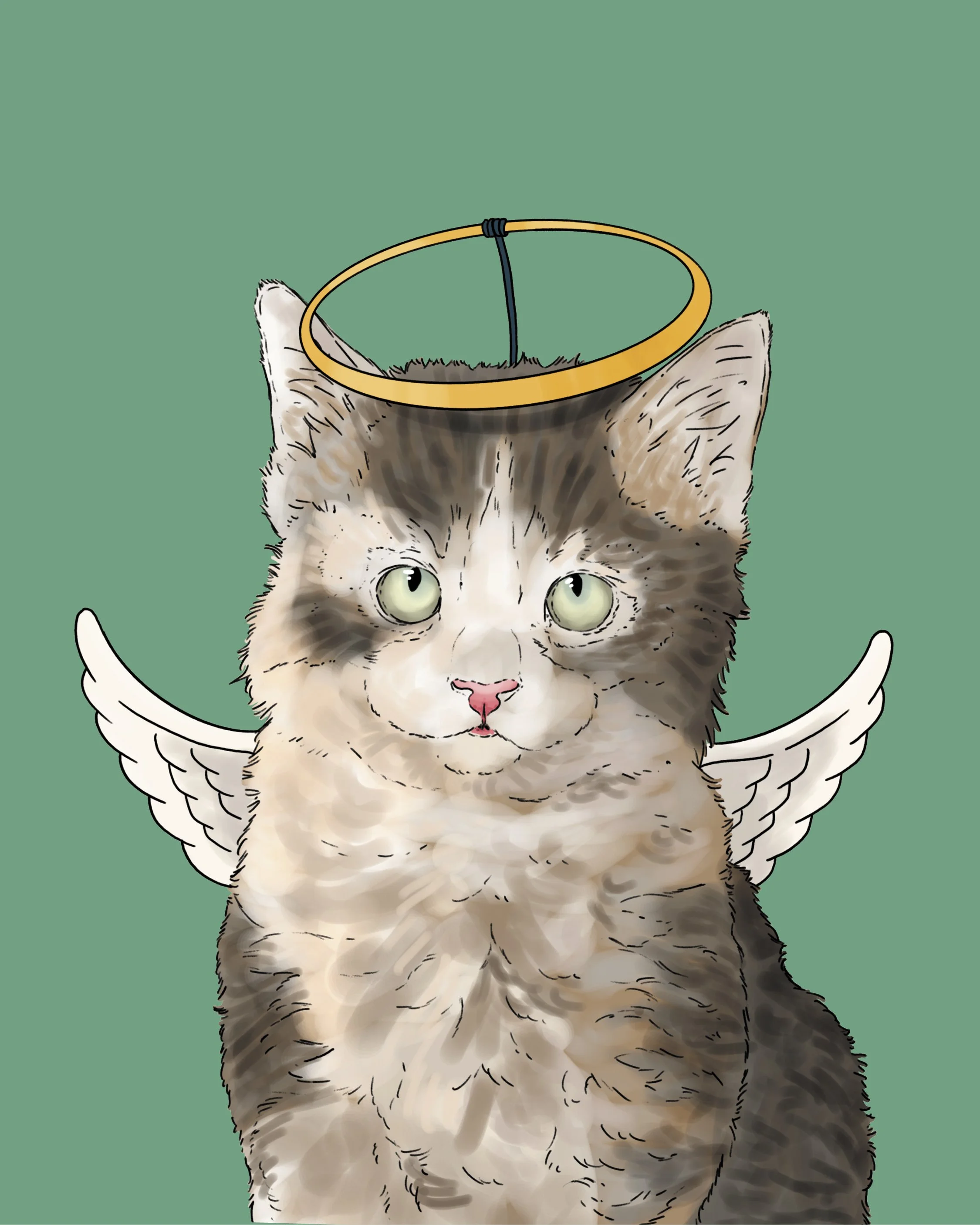 Design from an A6 Cat Christmas Card, bright digital illustration of a grey kitten wearing an angel headdress! Set on a flat turquoise background.
