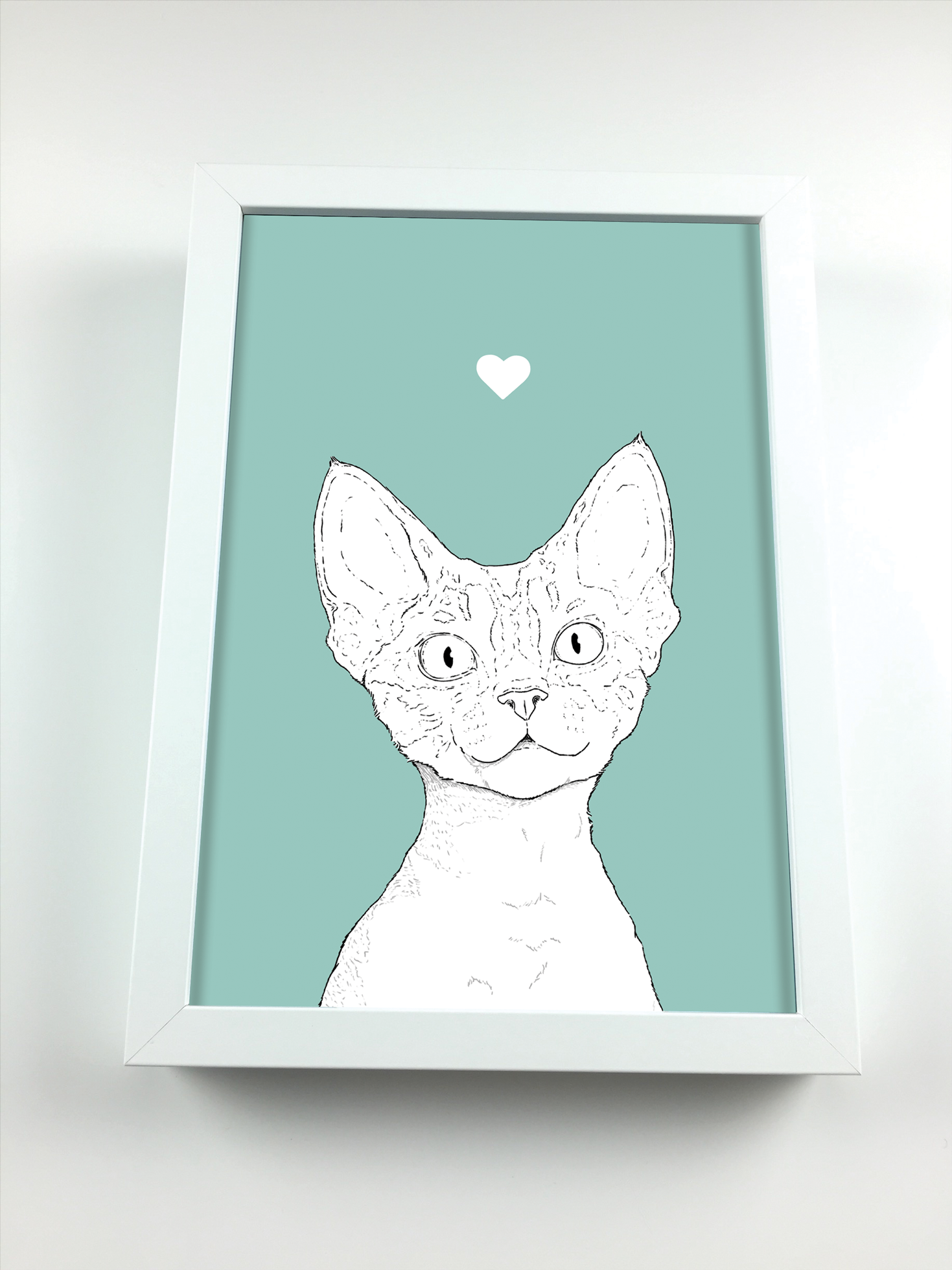 2. Devon Rex_Framed.png