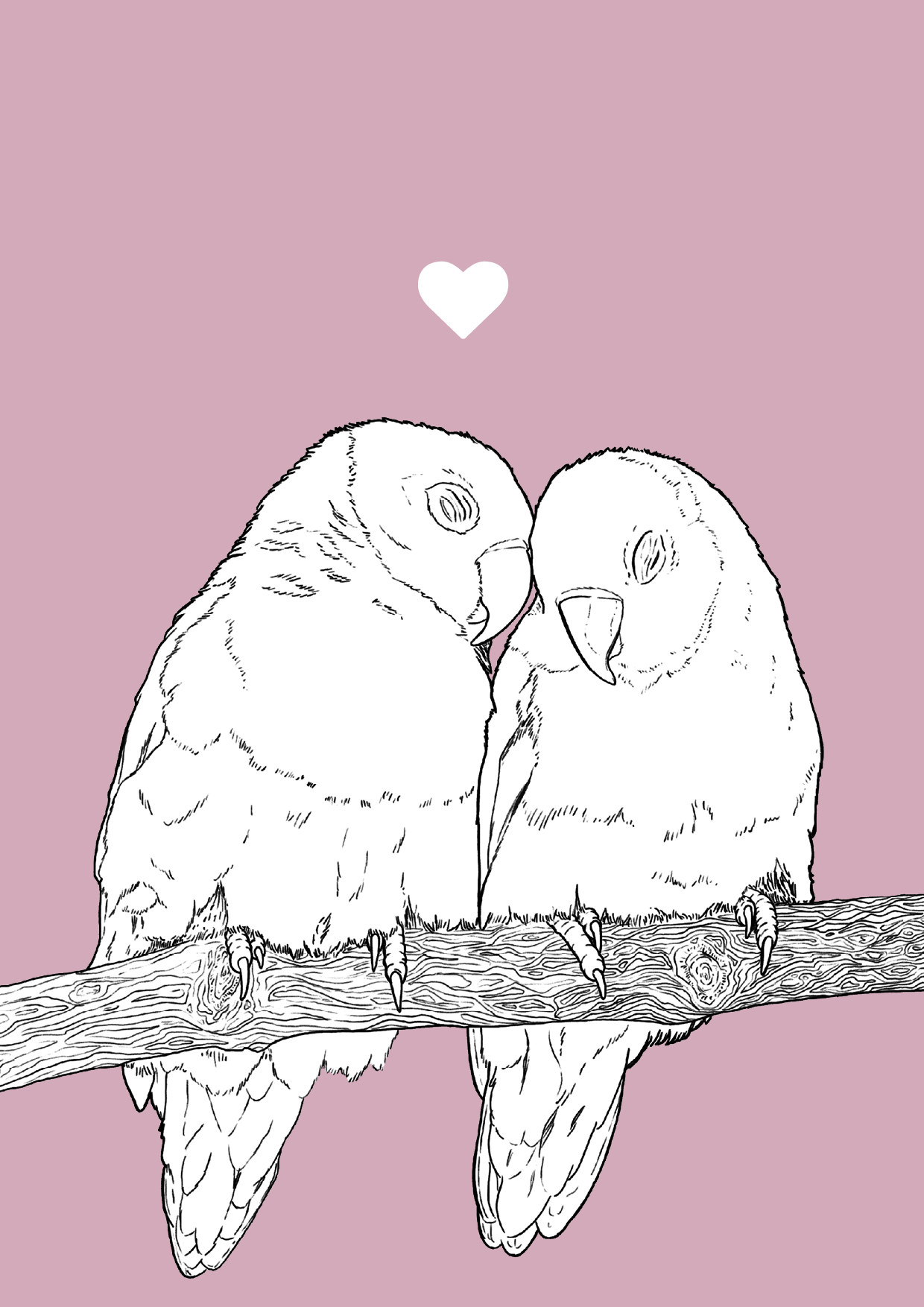 An A4 print with a pink background & black & white digital illustration of two lovebirds. A small white love heart sits not far above their head.