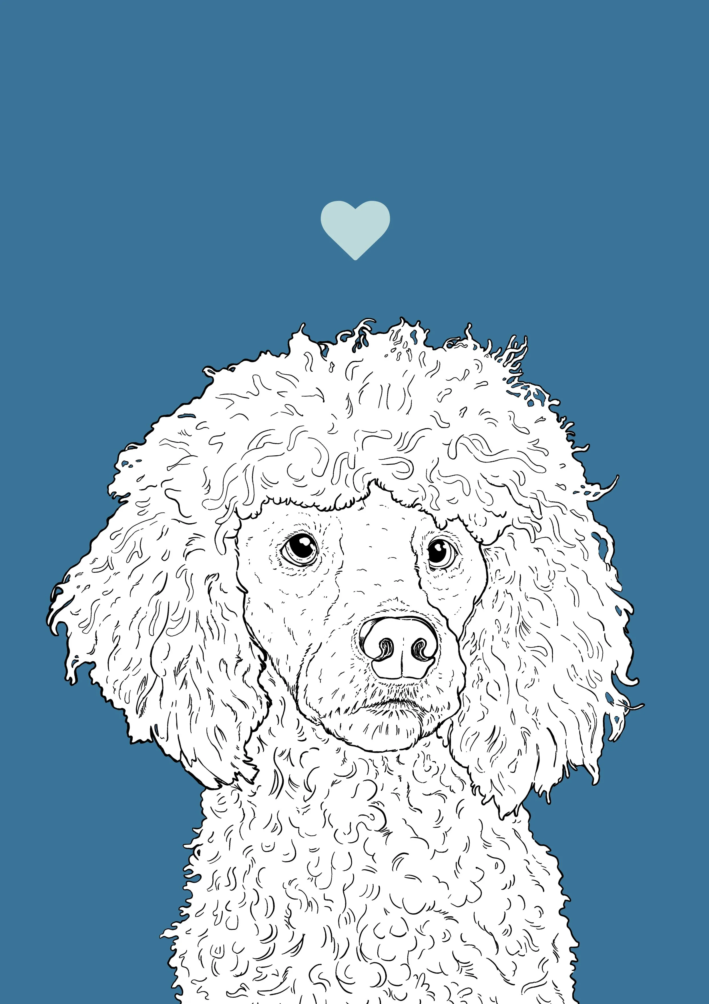 An A4 print with a blue background & black & white digital illustration of the head & shoulders of a Poodle dog. A small light blue love heart sits not far above their head.