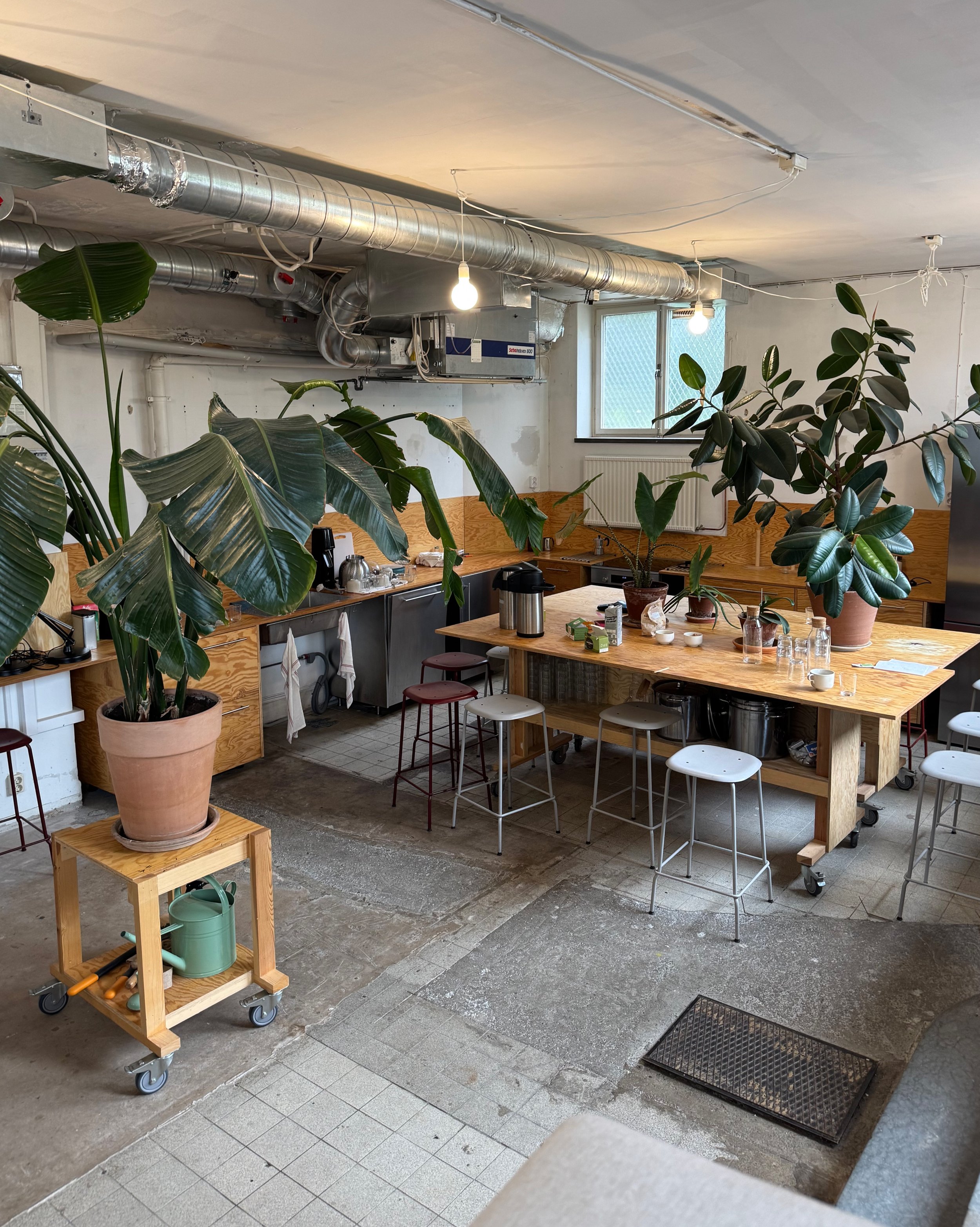 photo-output_3 2.jpeg