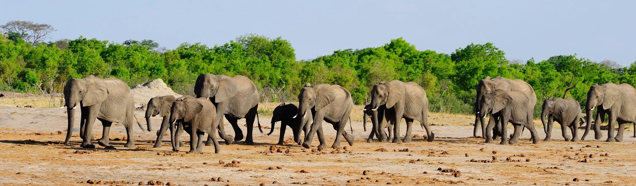 About — The Peter Project Initiative