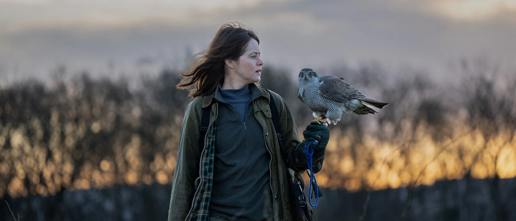 H is For Hawk
