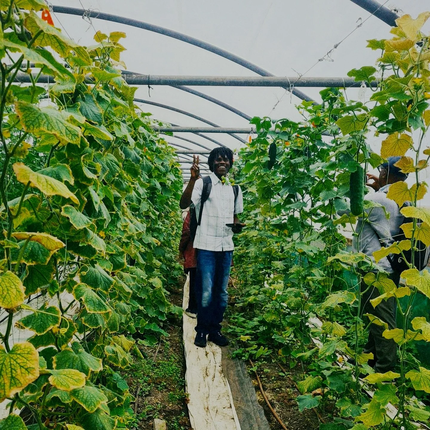 🍂 As summer slipped into autumn, the Lincoln Greeners were savouring the best of both seasons earlier this month.

We enjoyed the late summer sun together whilst preparing for the months ahead, picking vine leaves and harvesting pumpkins. A special 