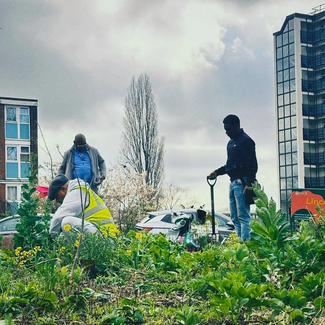 The weather was on our side last week at Lincoln Greeners! We had another busy session, with everyone getting stuck into different bits of the garden, planting seeds, turning over soil, clearing weeds and bits of litter and giving the beds a bit of c