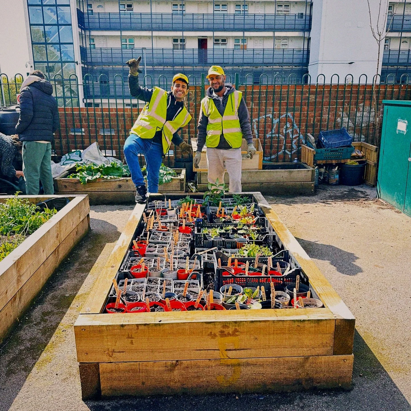 We&rsquo;ve had a couple of sunny weeks in the garden with the Lincoln Greeners 🌿

We&rsquo;ve been tending to a bit of garden admin - watering the beds, clearing weeds, making room for new growth. Some of the group got some new seeds settled into t