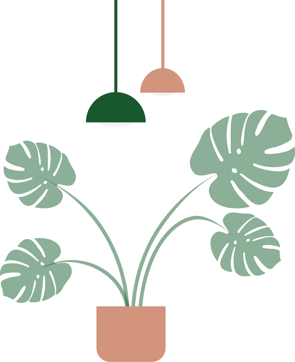 animated floor plant monstsera with lamp overhead